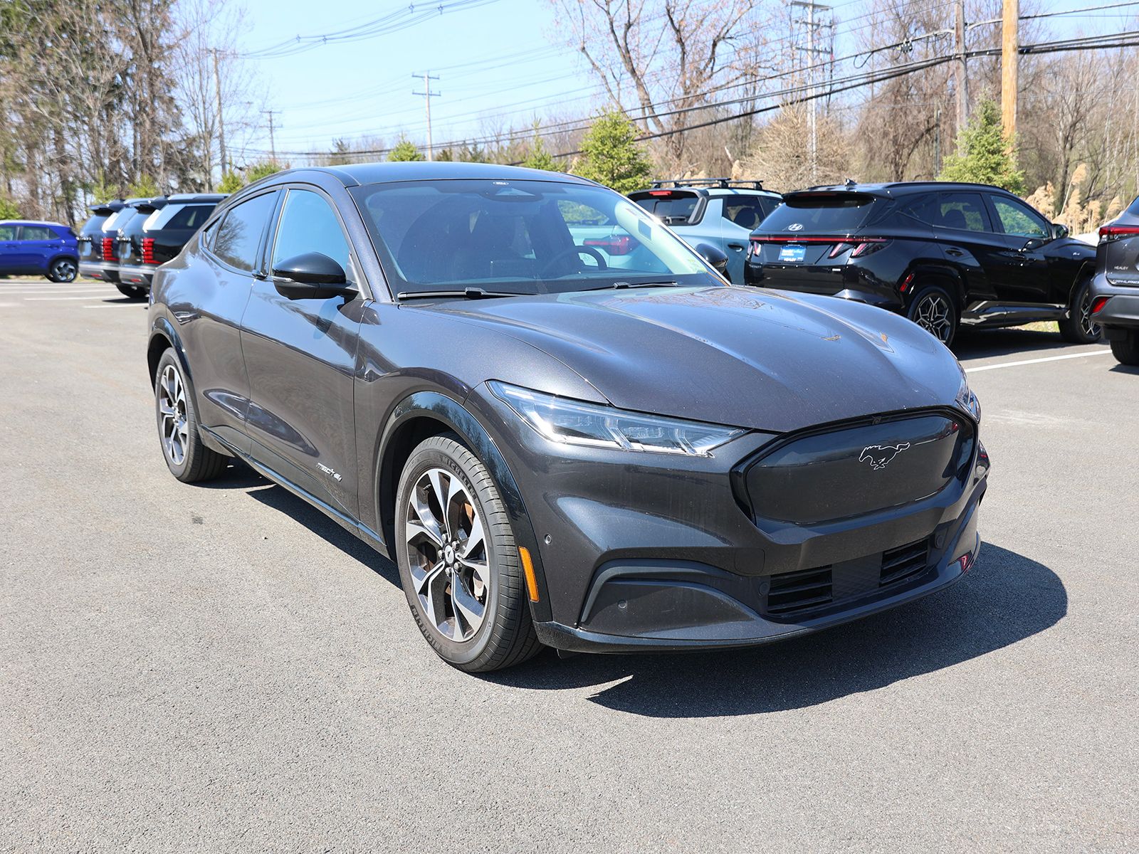 Photo view of 2022 Ford Mustang Mach-E in Gray