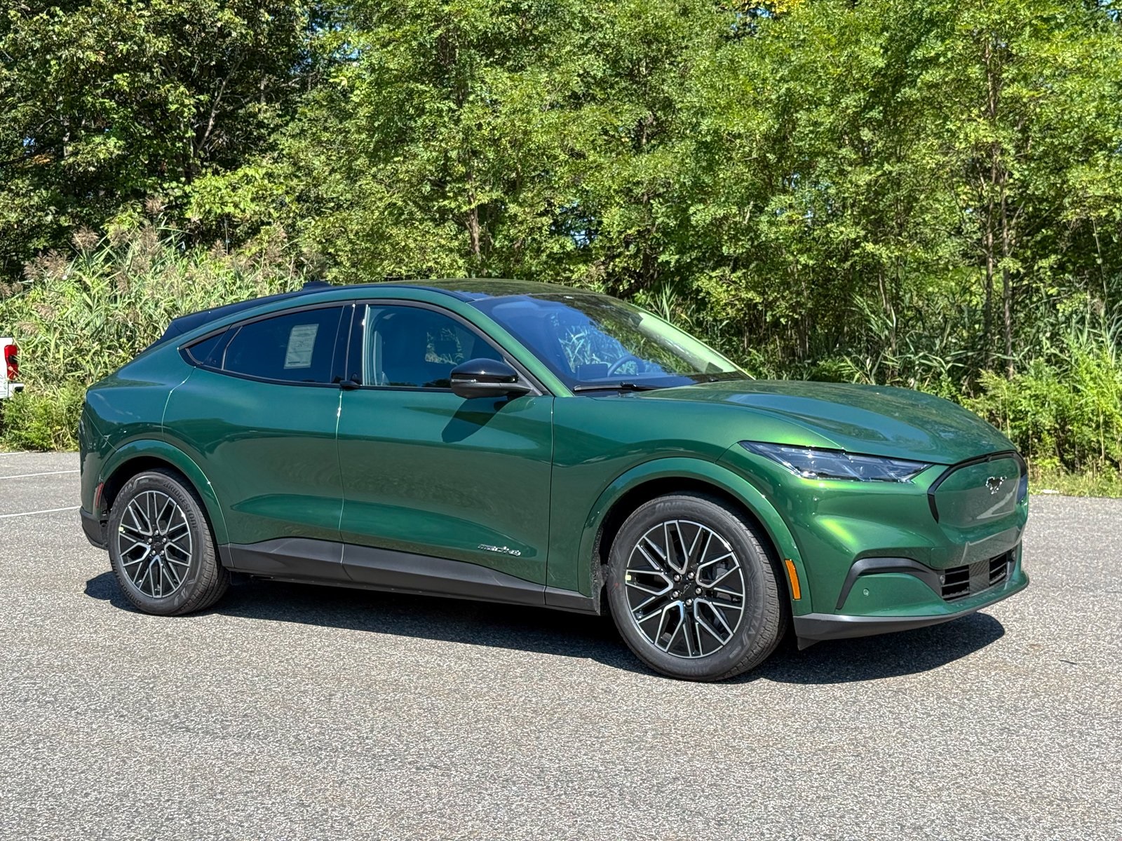 Photo view of 2025 Ford Mustang Mach-E in Green