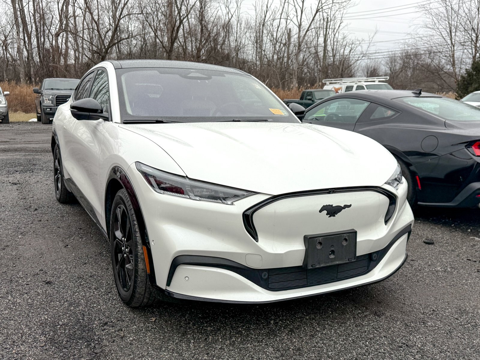 Photo view of 2023 Ford Mustang Mach-E in White