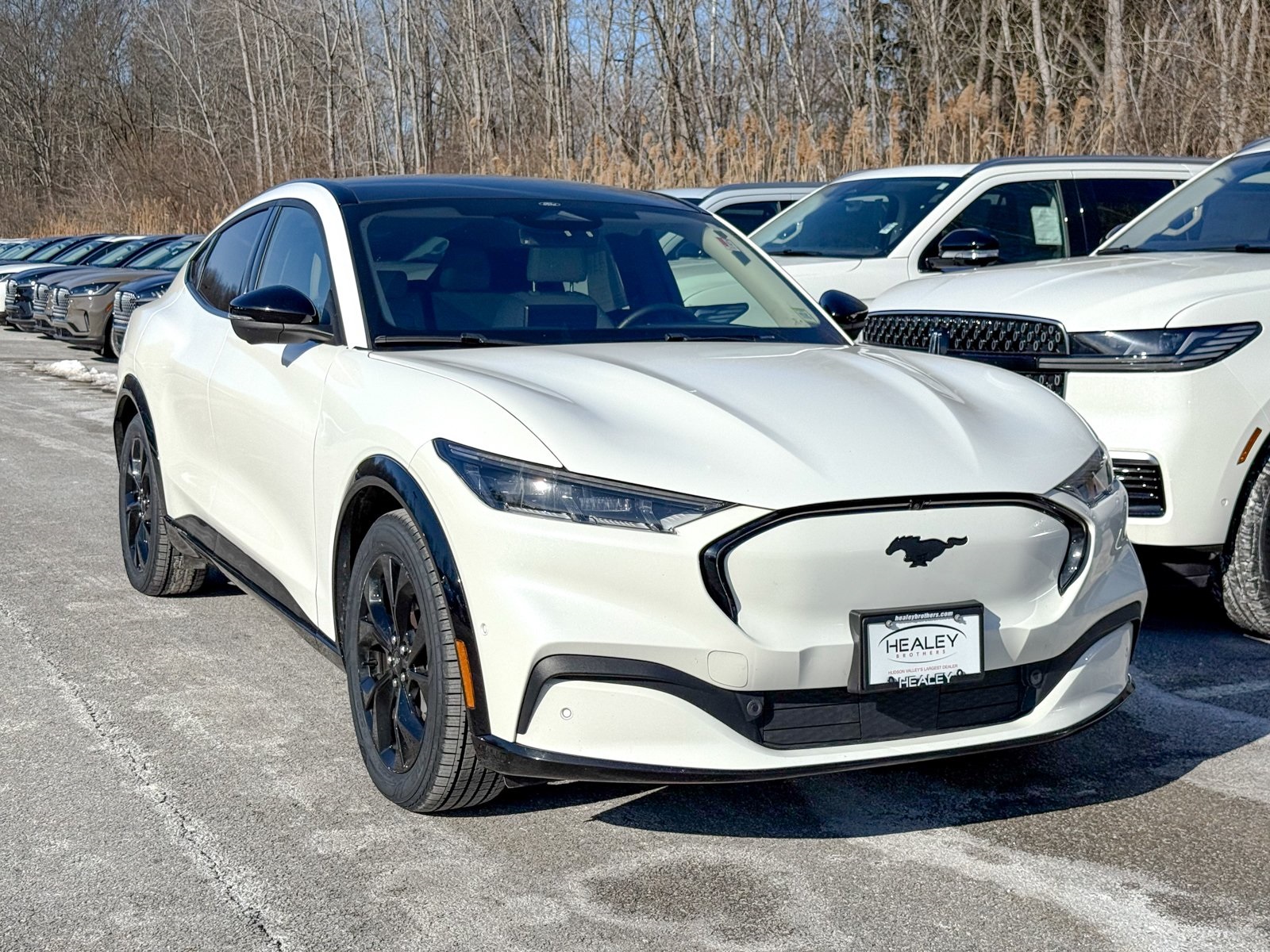 Photo view of 2023 Ford Mustang Mach-E in White