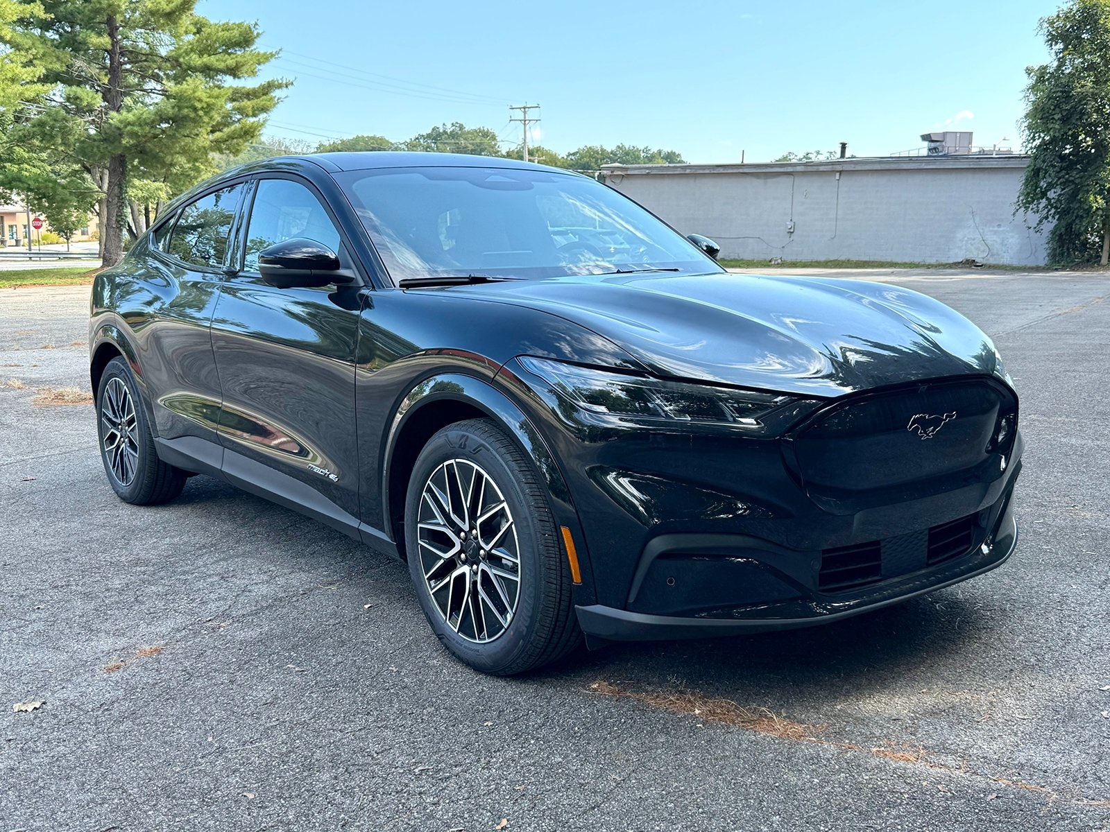 Photo view of 2025 Ford Mustang Mach-E in Black