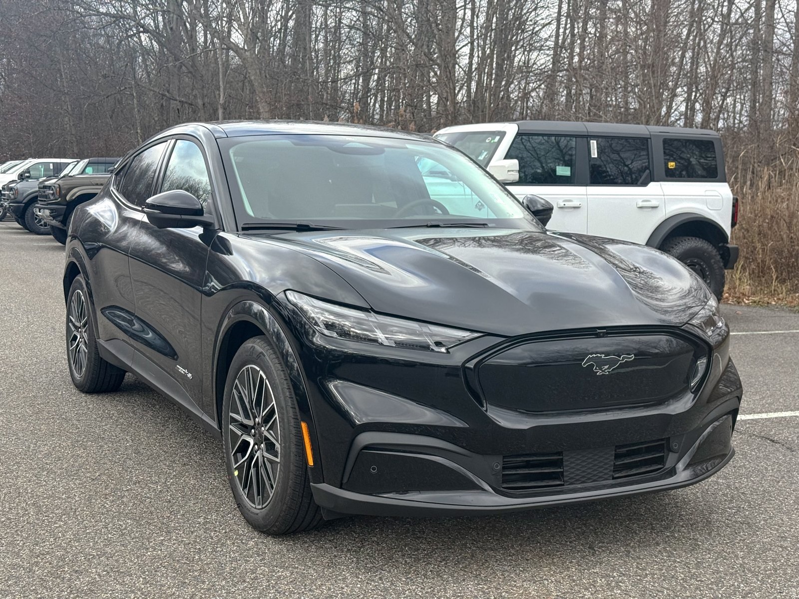 Photo view of 2025 Ford Mustang Mach-E in Black