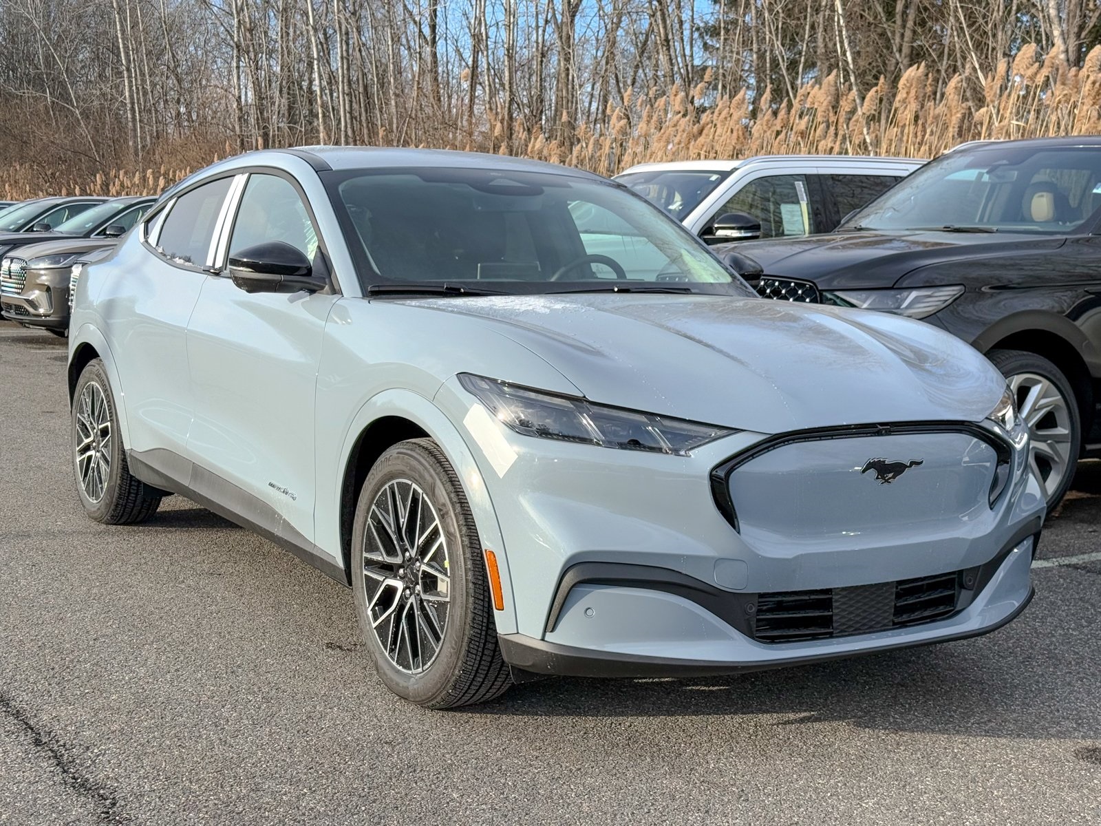 Photo view of 2025 Ford Mustang Mach-E in Gray