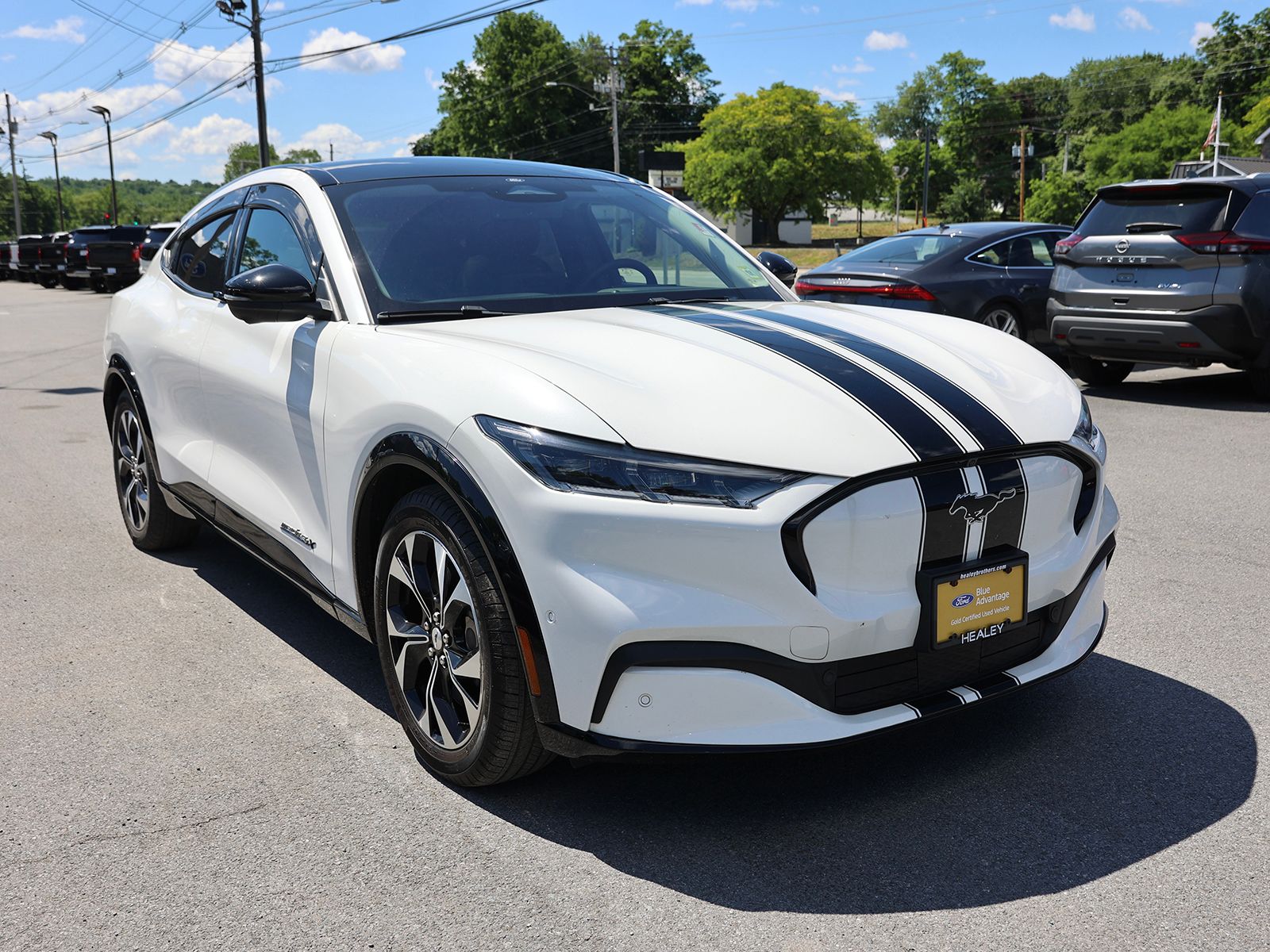 Photo view of 2021 Ford Mustang Mach-E in Gray