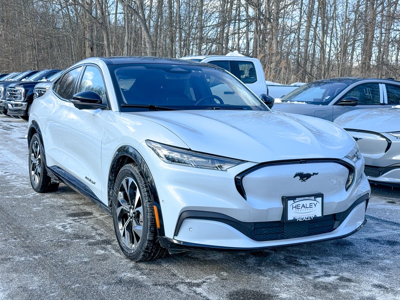 Photo view of 2023 Ford Mustang Mach-E in White