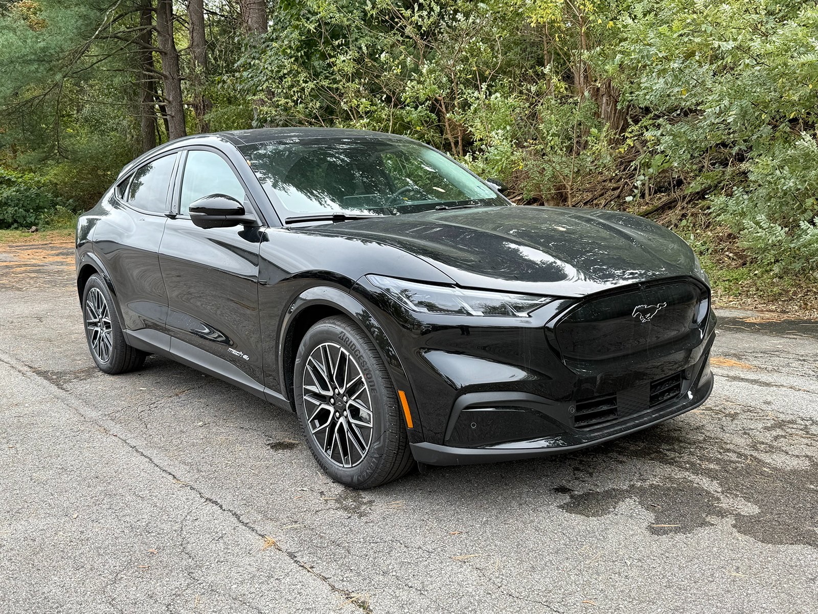 Photo view of 2025 Ford Mustang Mach-E in Black