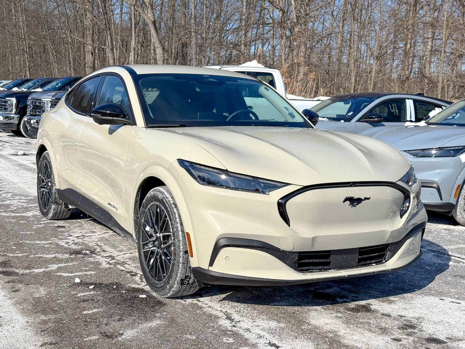 Photo view of 2025 Ford Mustang Mach-E in Tan