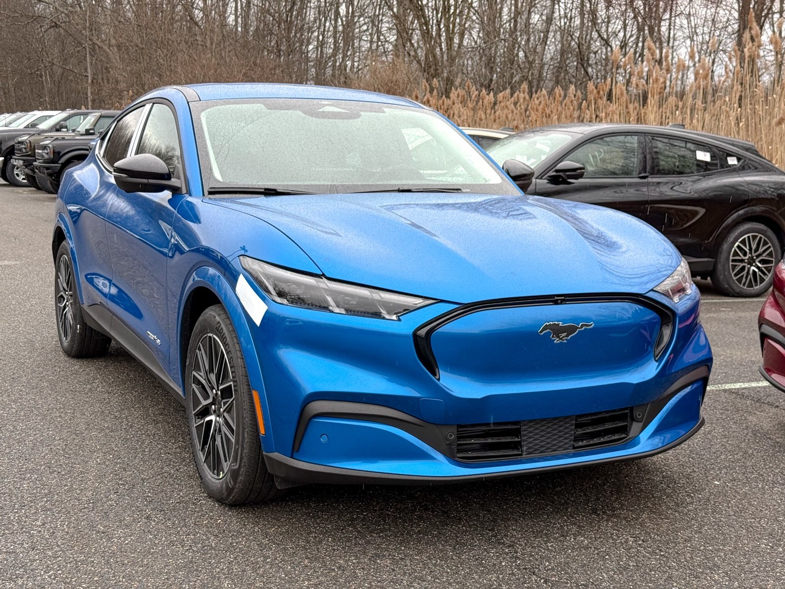 Photo view of 2025 Ford Mustang Mach-E in Blue
