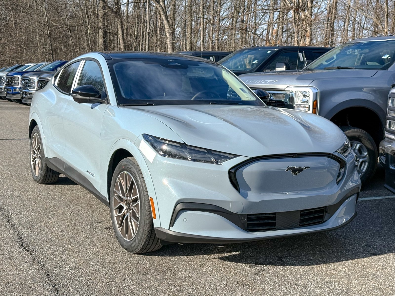 Photo view of 2025 Ford Mustang Mach-E in Gray