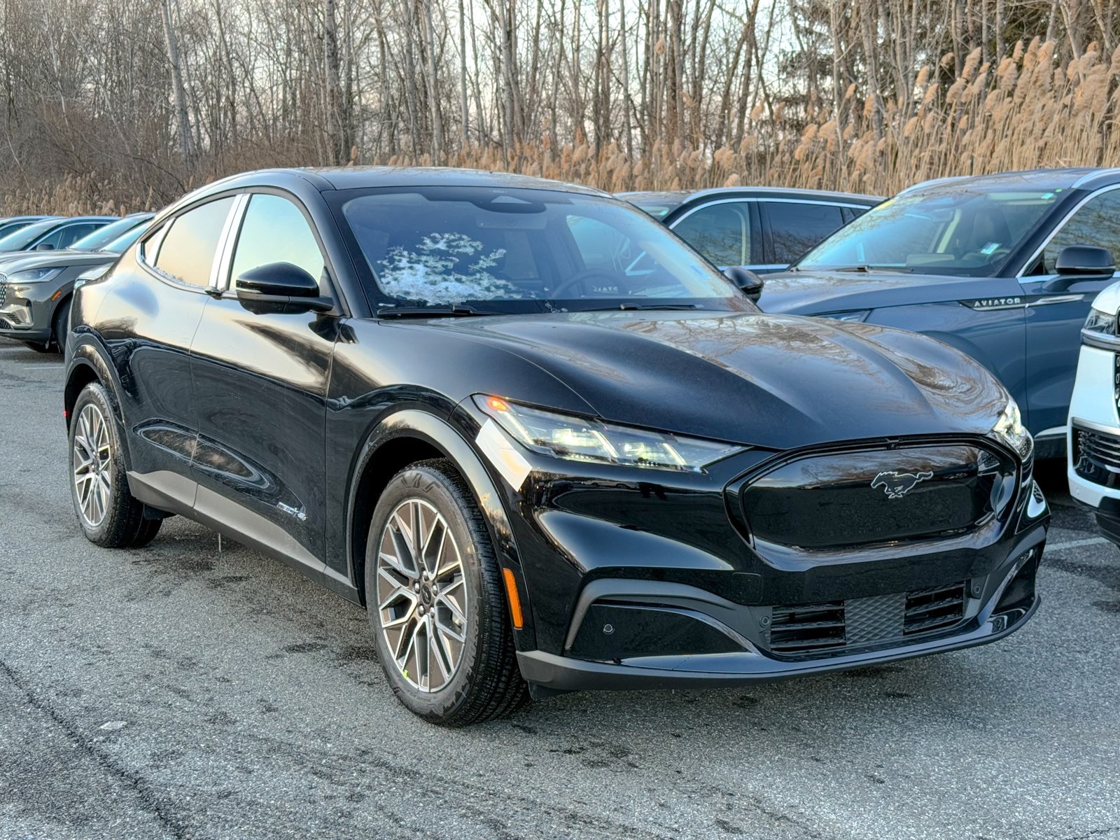 Photo view of 2025 Ford Mustang Mach-E in Black