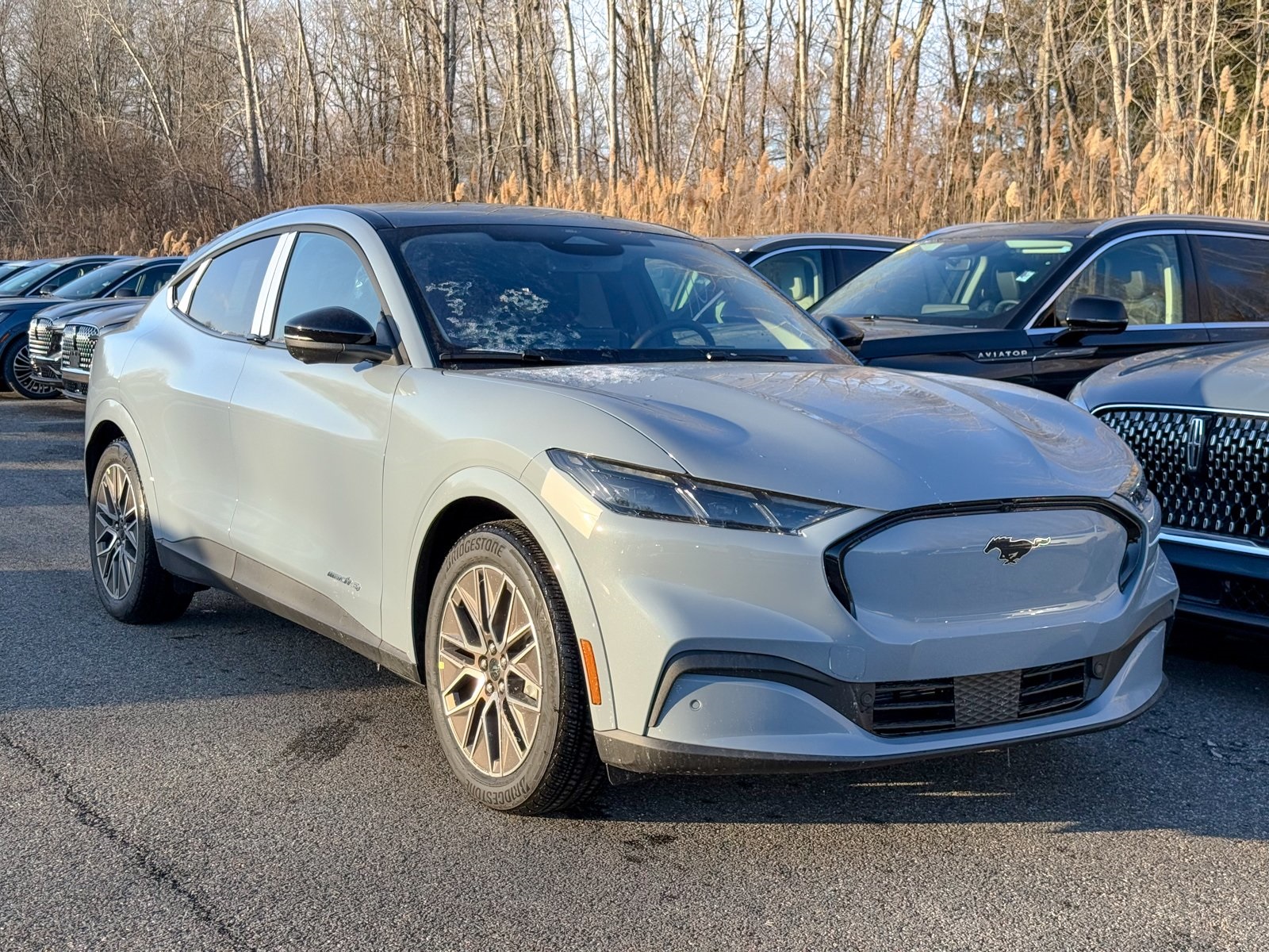 Photo view of 2025 Ford Mustang Mach-E in Gray