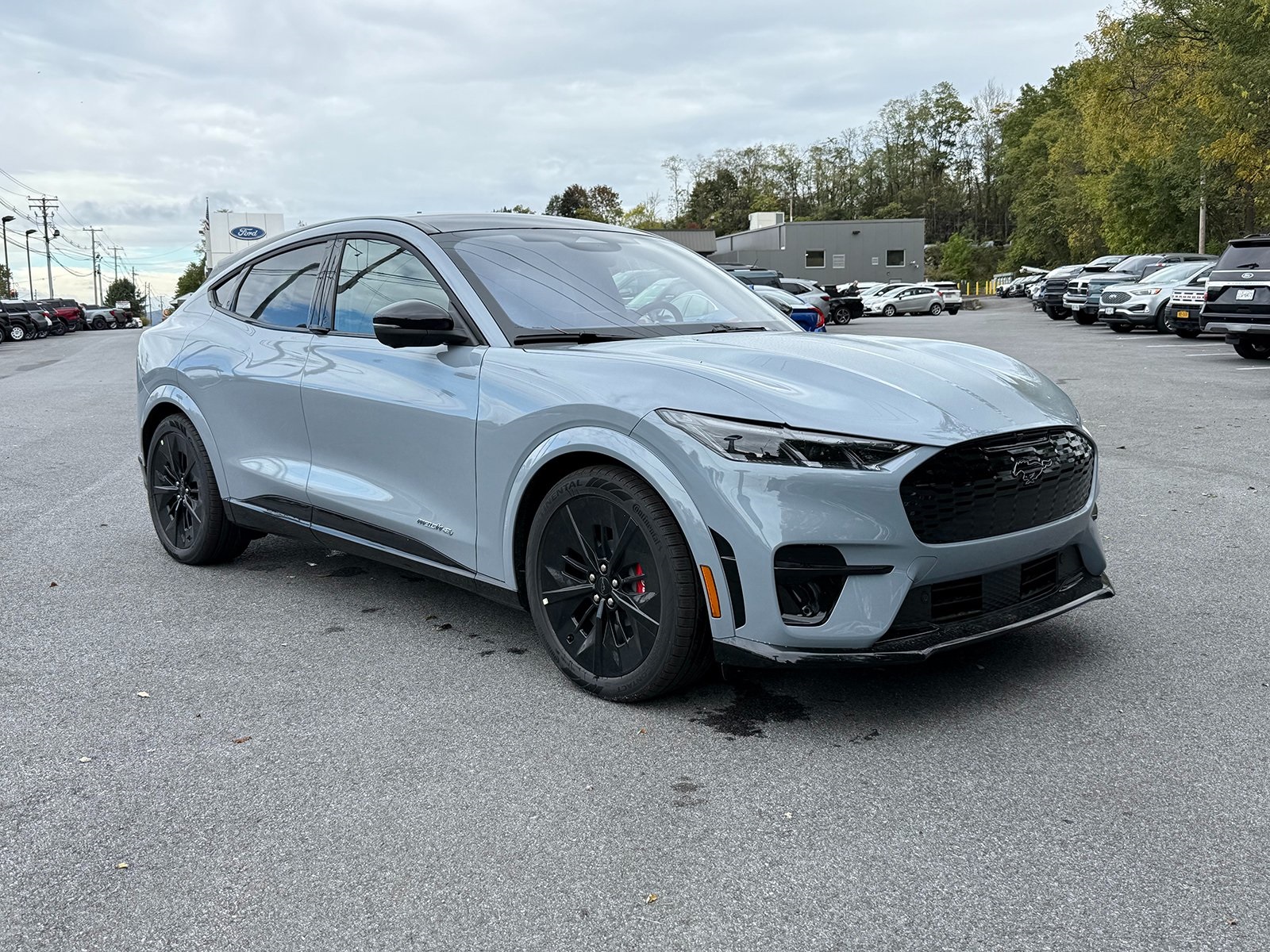 Photo view of 2025 Ford Mustang Mach-E in Gray