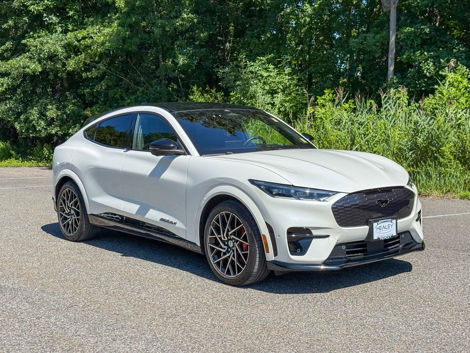 Photo view of 2023 Ford Mustang Mach-E in