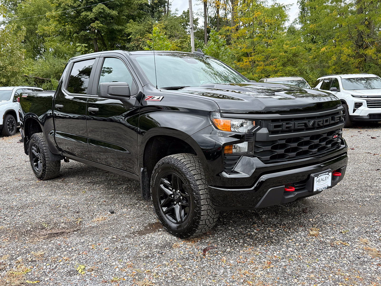 Photo view of 2023 Chevrolet Silverado 1500 in Black