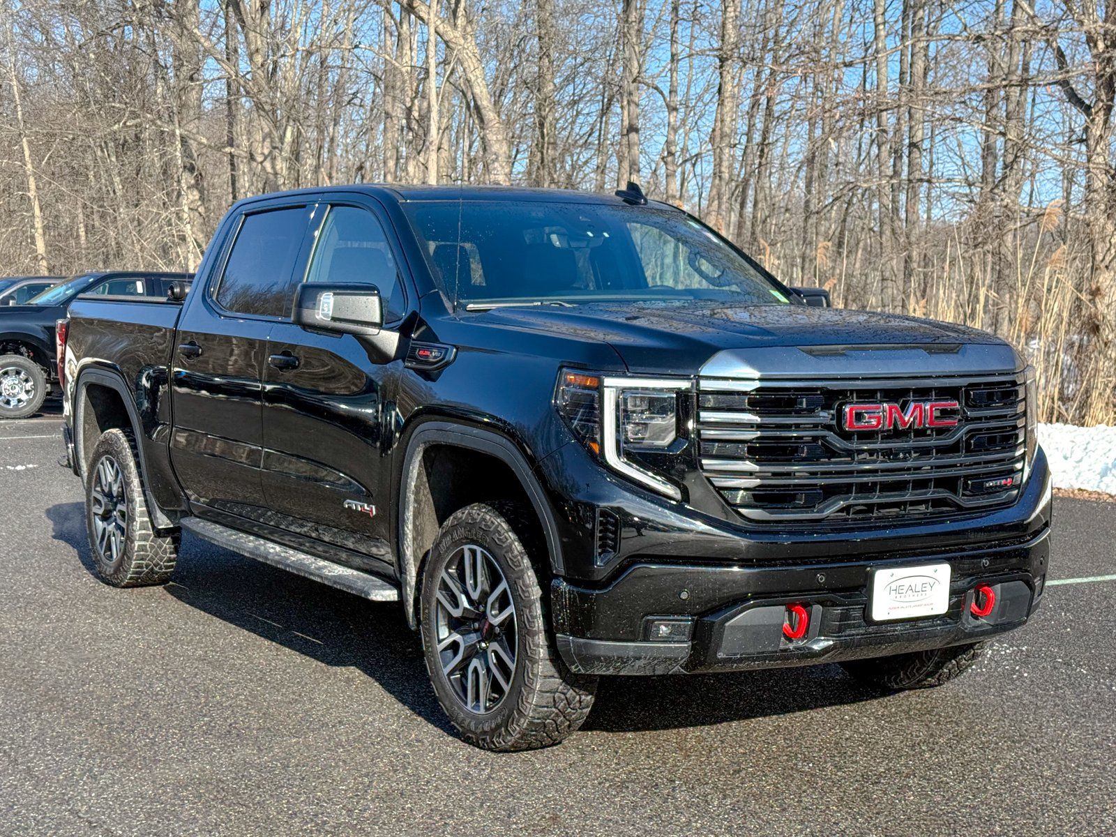 Photo view of 2024 GMC Sierra 1500 in Black
