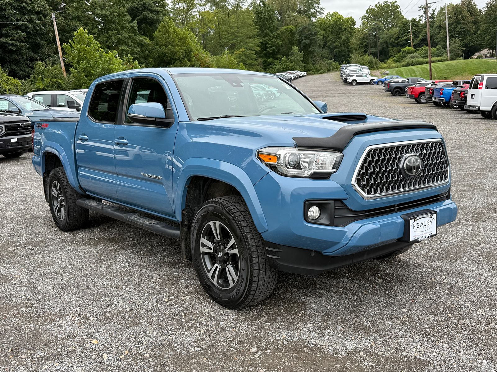 Photo view of 2019 Toyota Tacoma in Blue