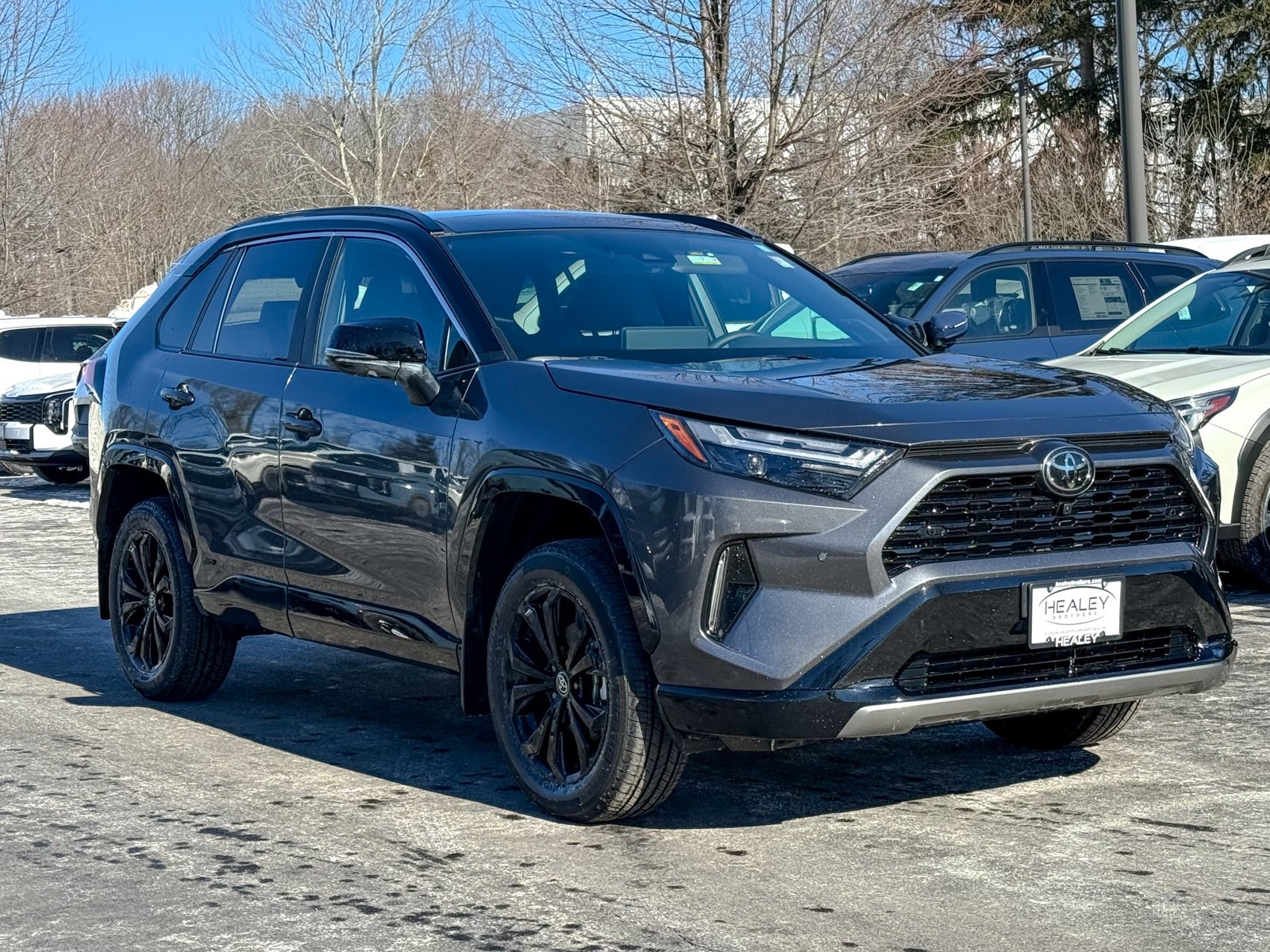 Photo view of 2025 Toyota RAV4 in Gray