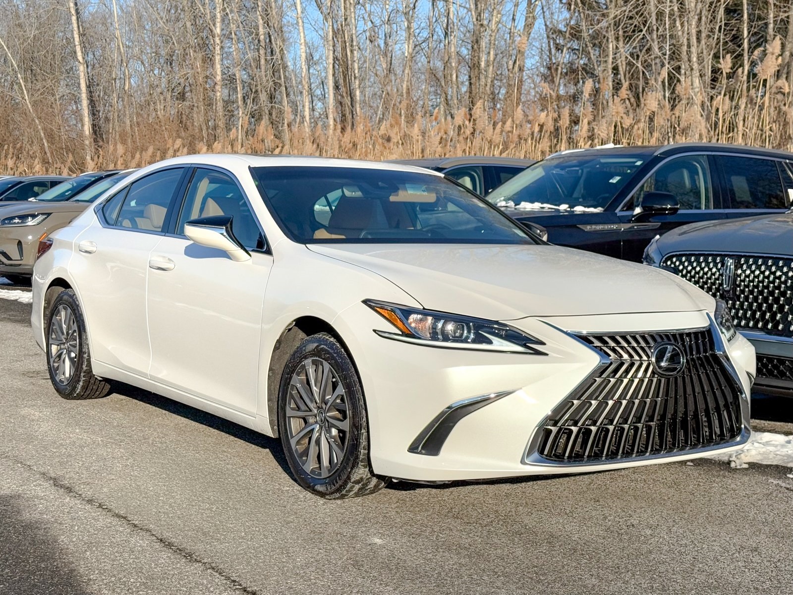 Photo view of 2022 Lexus ES in White