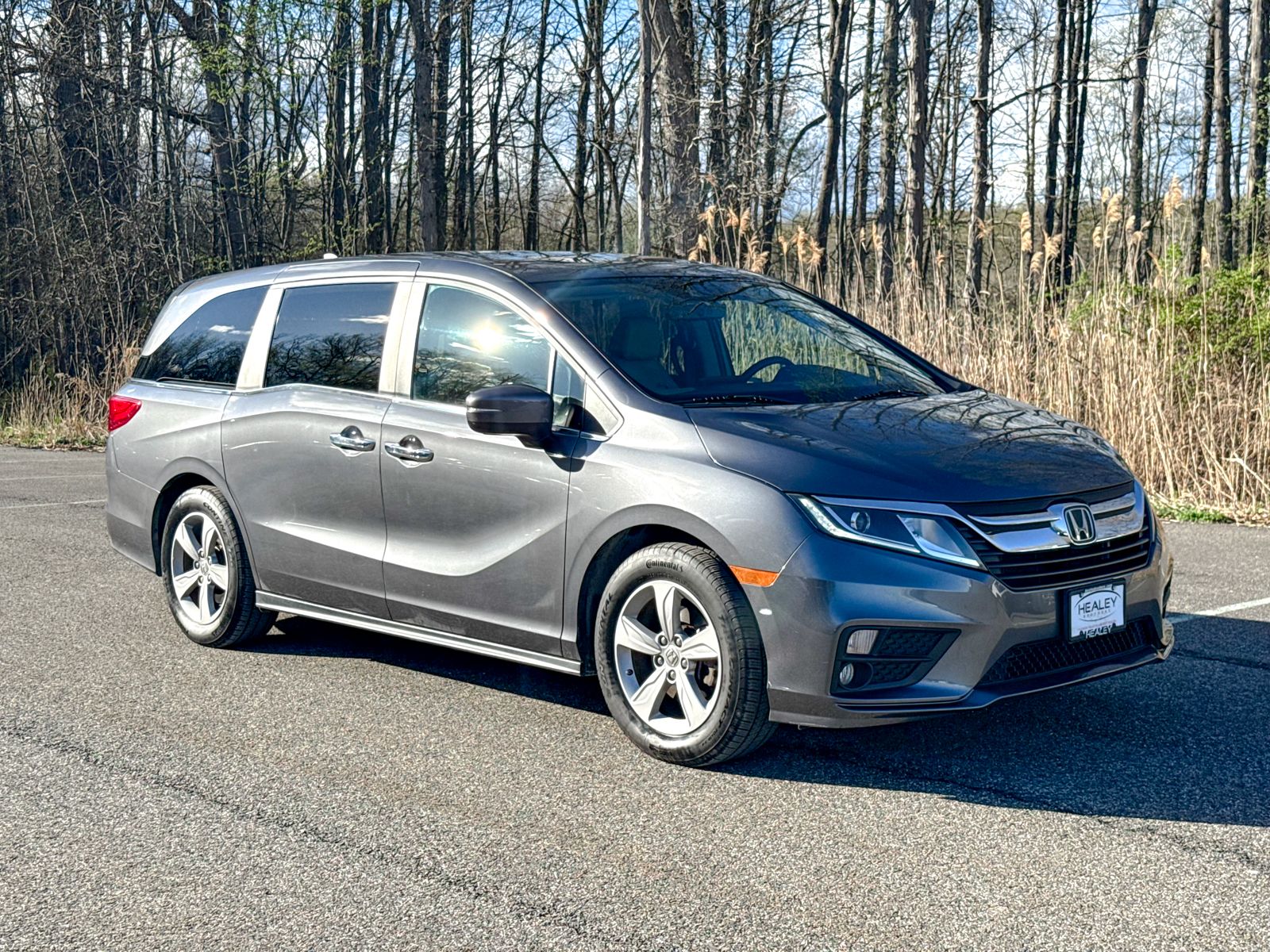 Photo view of 2019 Honda Odyssey in Gray