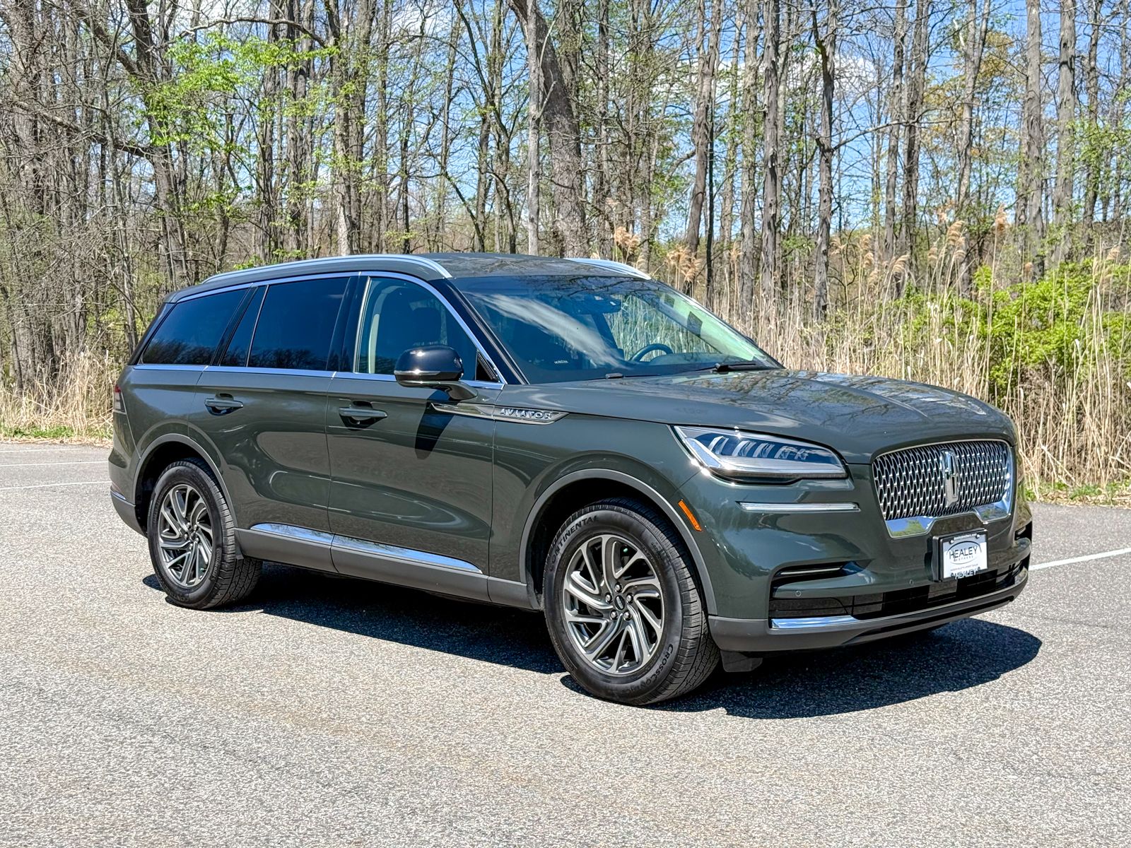 Photo view of 2022 Lincoln Aviator in Green