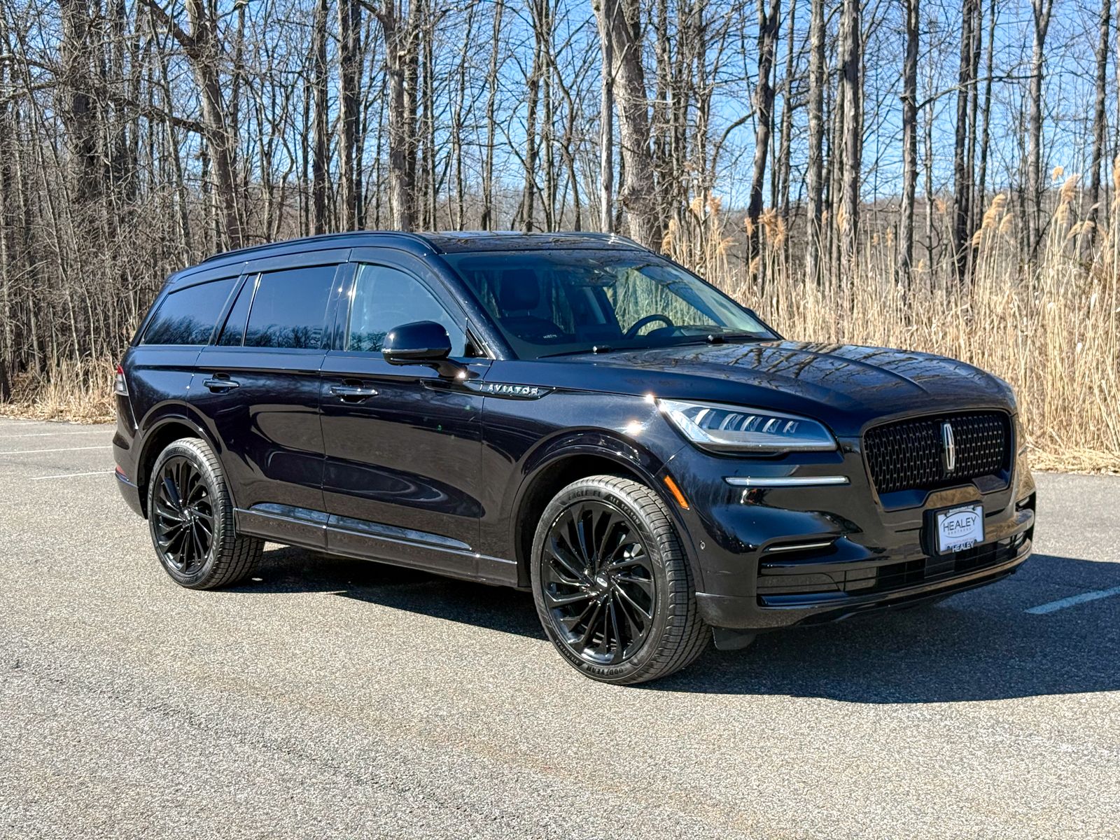 Photo view of 2022 Lincoln Aviator in Black