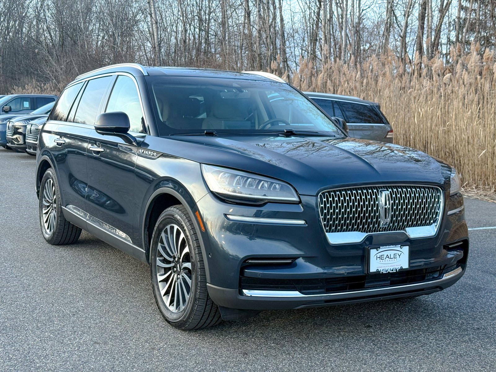Photo view of 2023 Lincoln Aviator in Blue