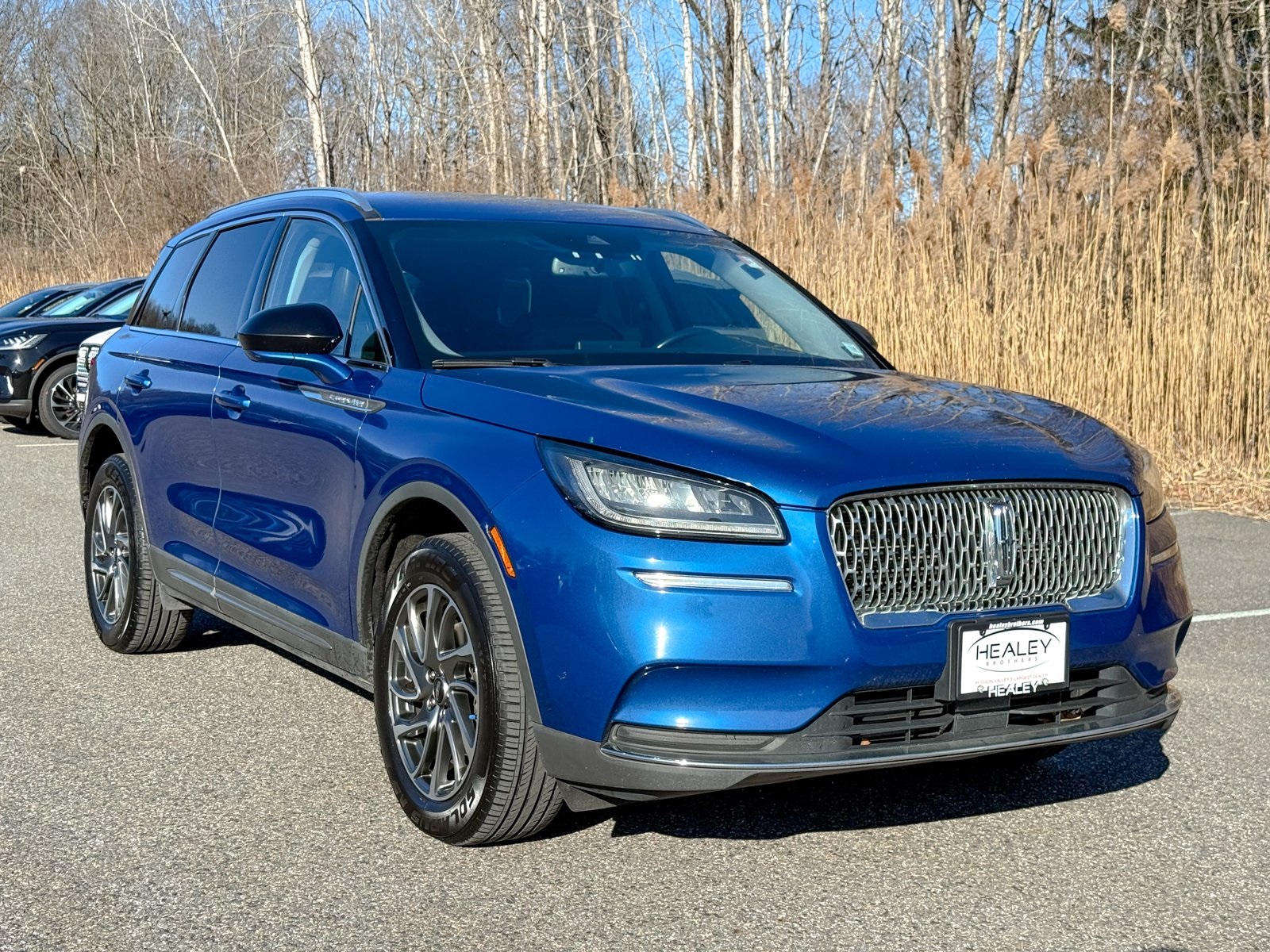 Photo view of 2021 Lincoln Corsair in Blue