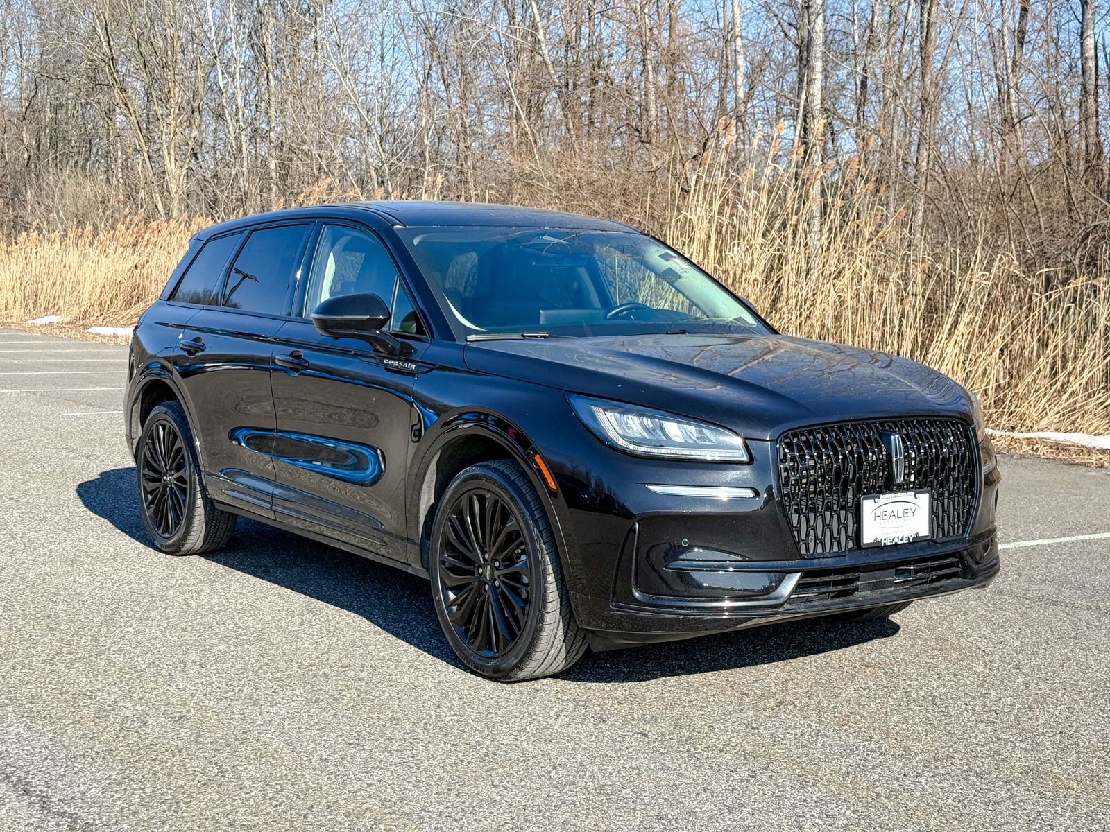 Photo view of 2023 Lincoln Corsair in Black