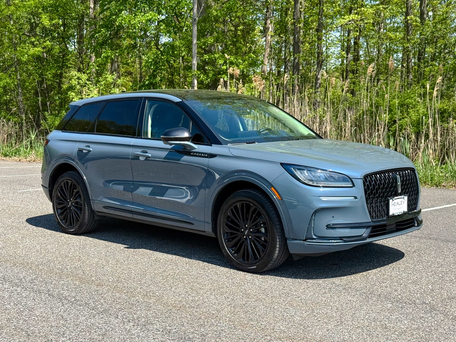Photo view of 2023 Lincoln Corsair in Blue