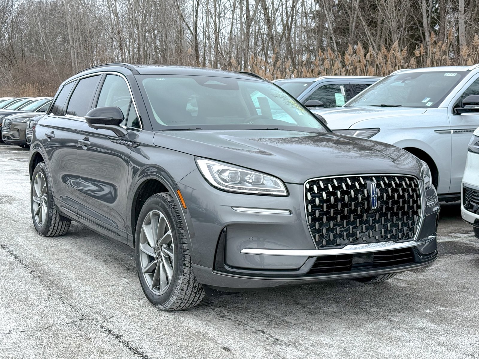 Photo view of 2026 Lincoln Corsair in Gray