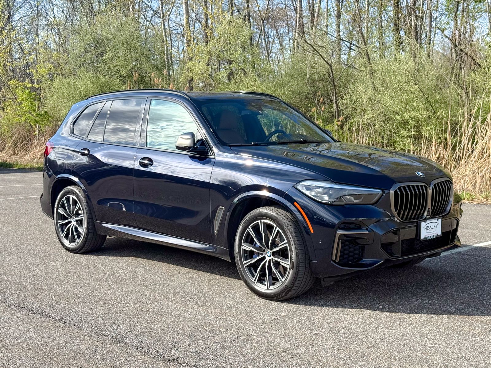 Photo view of 2023 BMW X5 in Black