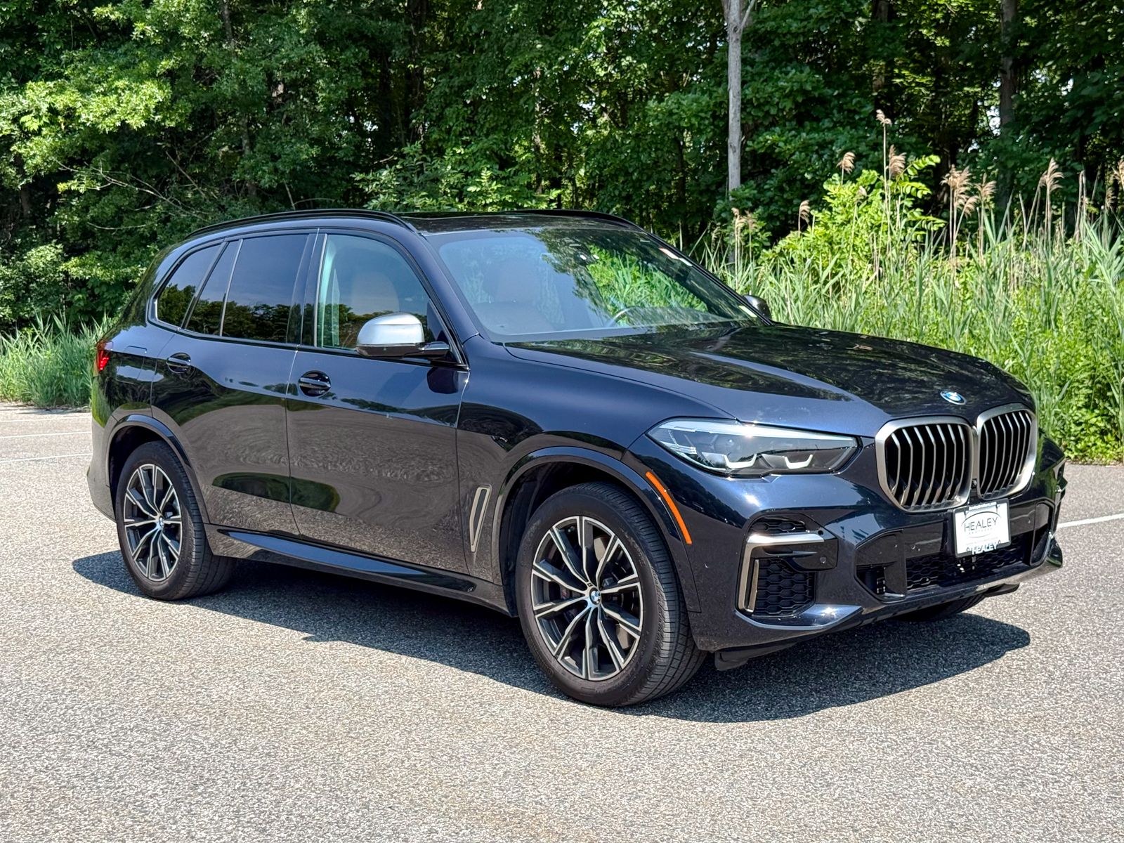 Photo view of 2023 BMW X5 in Black