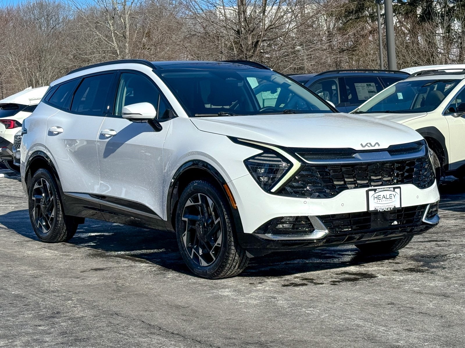 Photo view of 2023 Kia Sportage in White