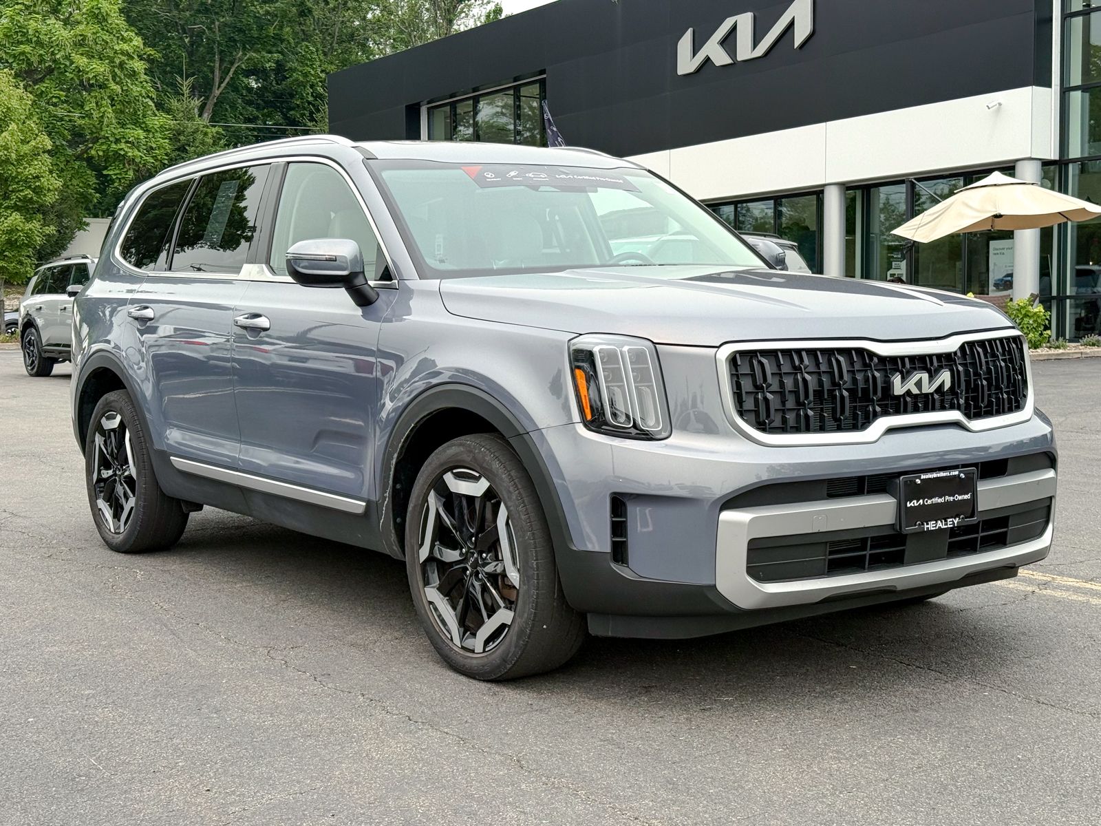 Photo view of 2024 Kia Telluride in Silver