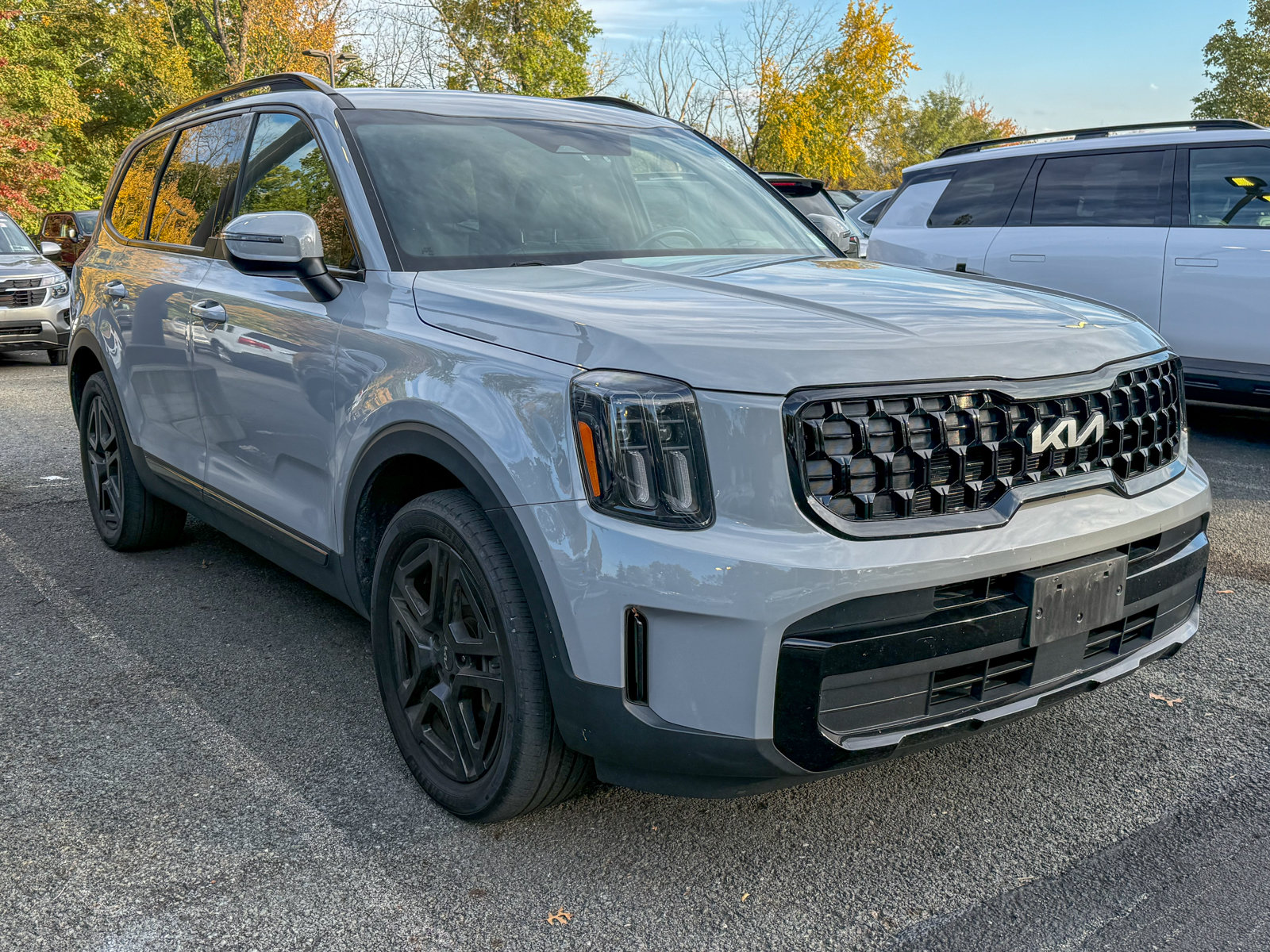 Photo view of 2024 Kia Telluride in Gray