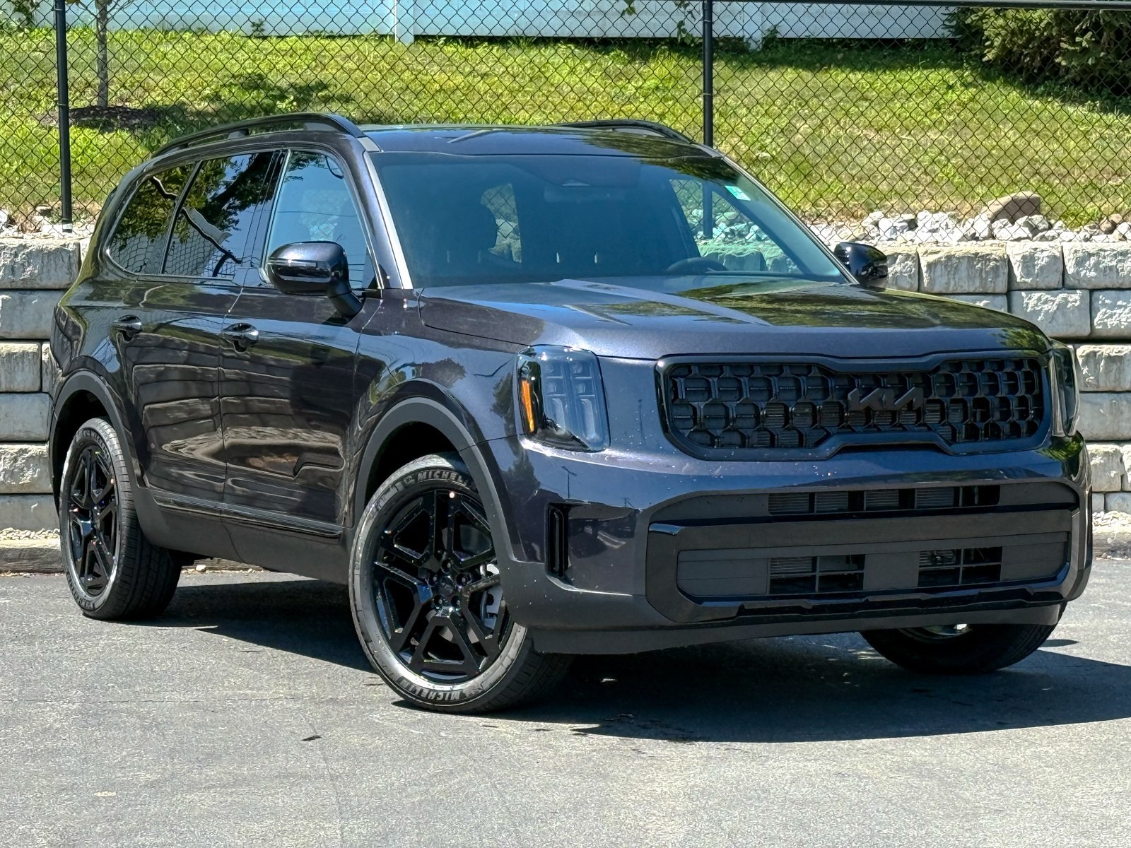 Photo view of 2025 Kia Telluride in Gray