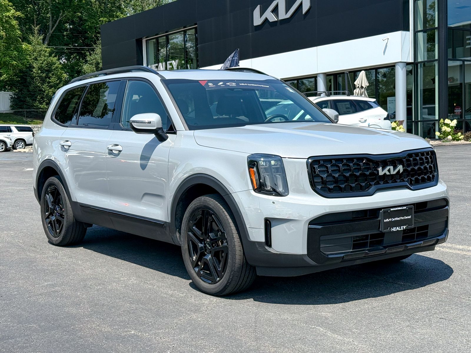 Photo view of 2024 Kia Telluride in Gray
