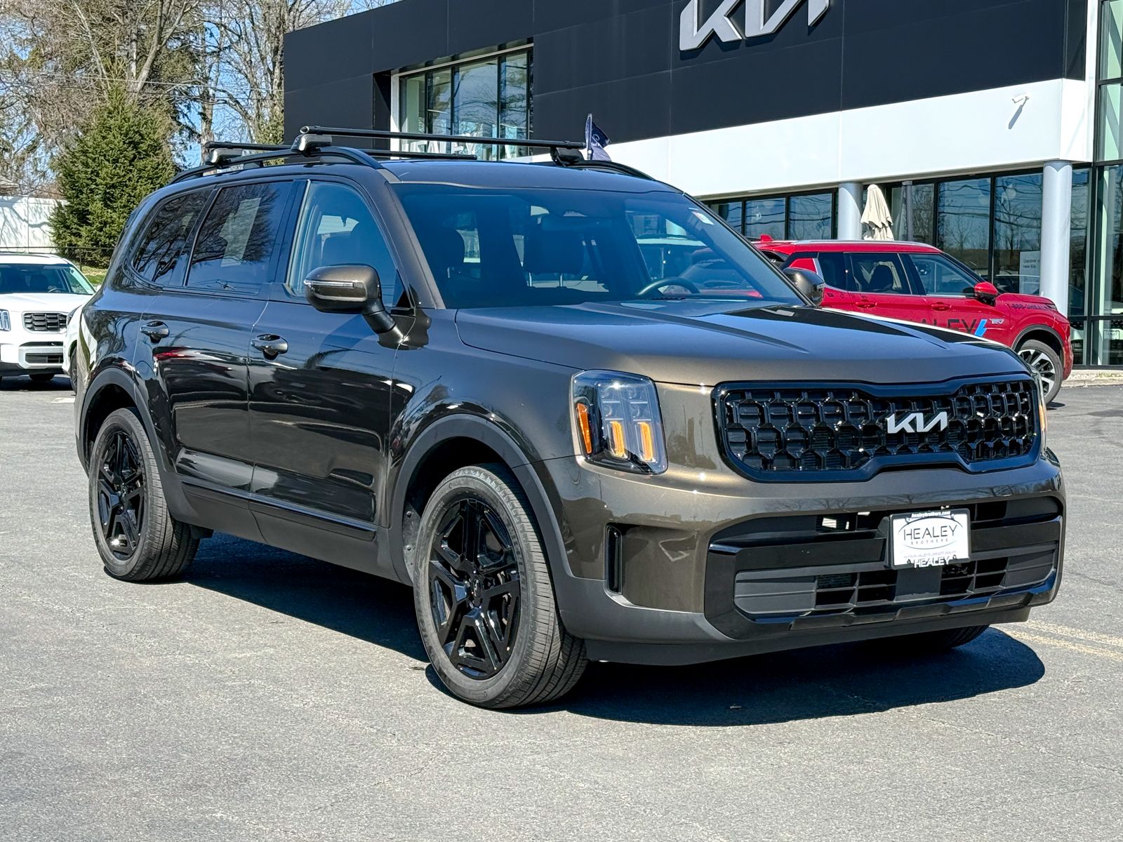 Photo view of 2024 Kia Telluride in Green
