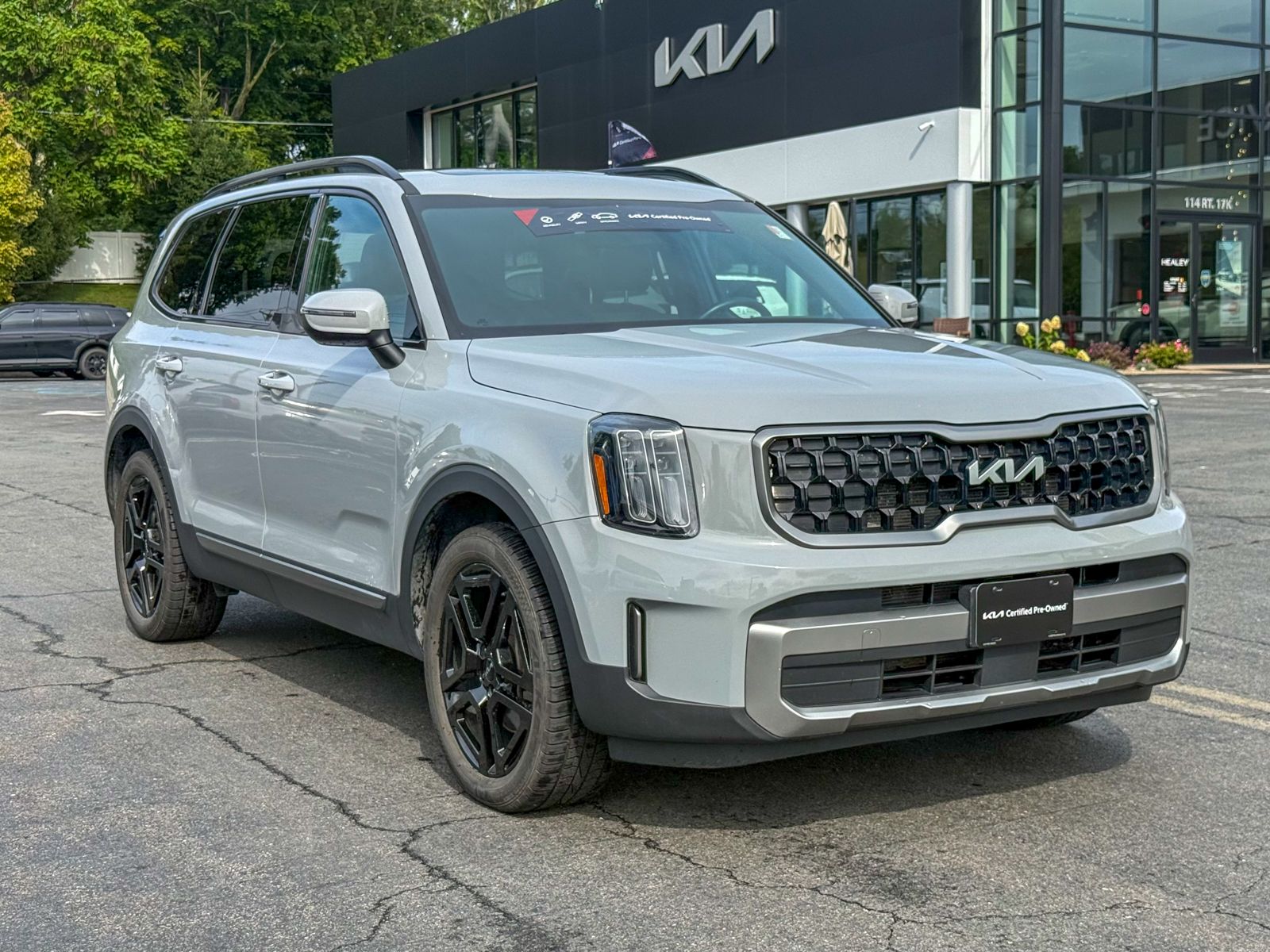 Photo view of 2023 Kia Telluride in Gray