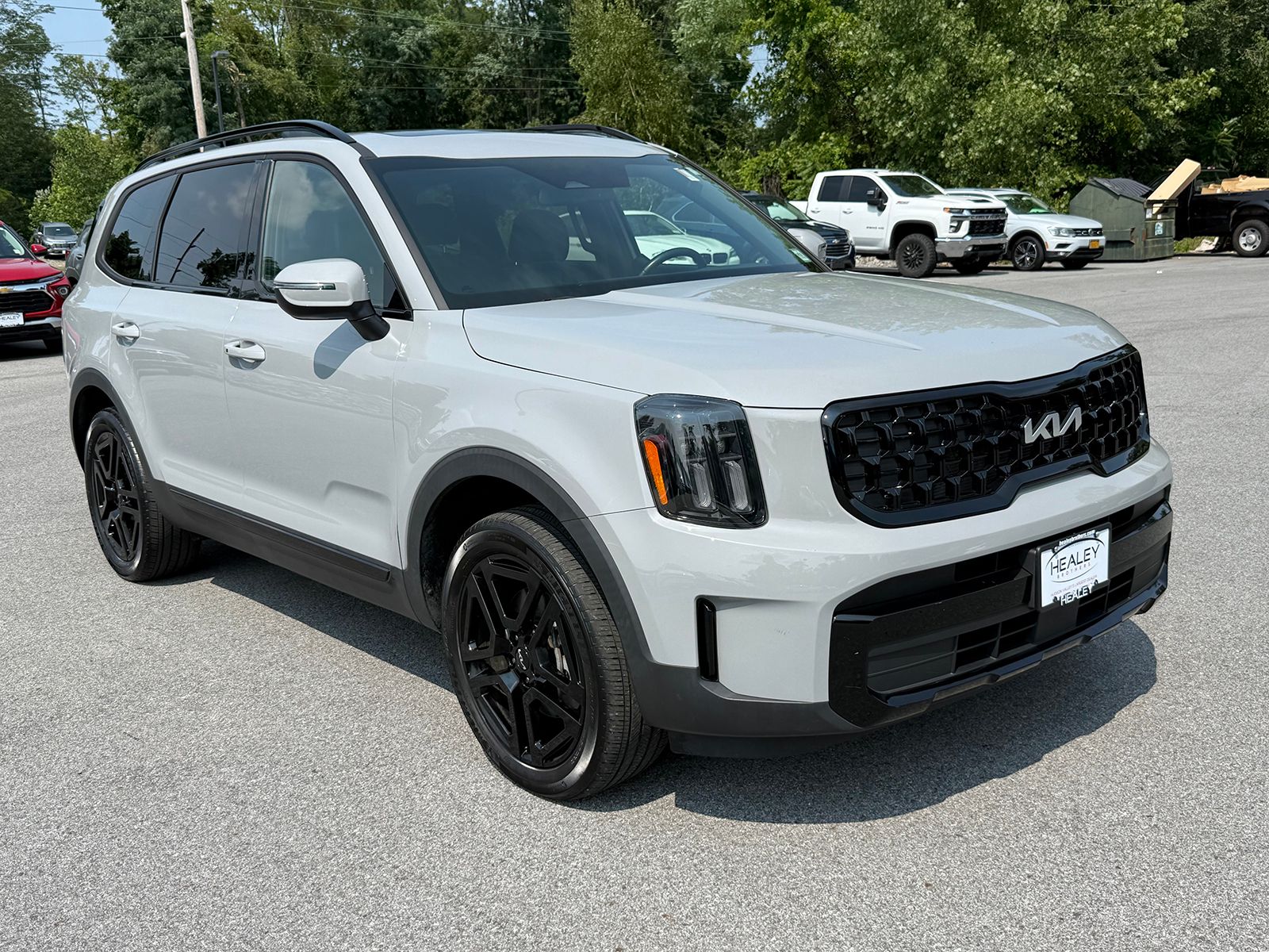 Photo view of 2024 Kia Telluride in Gray