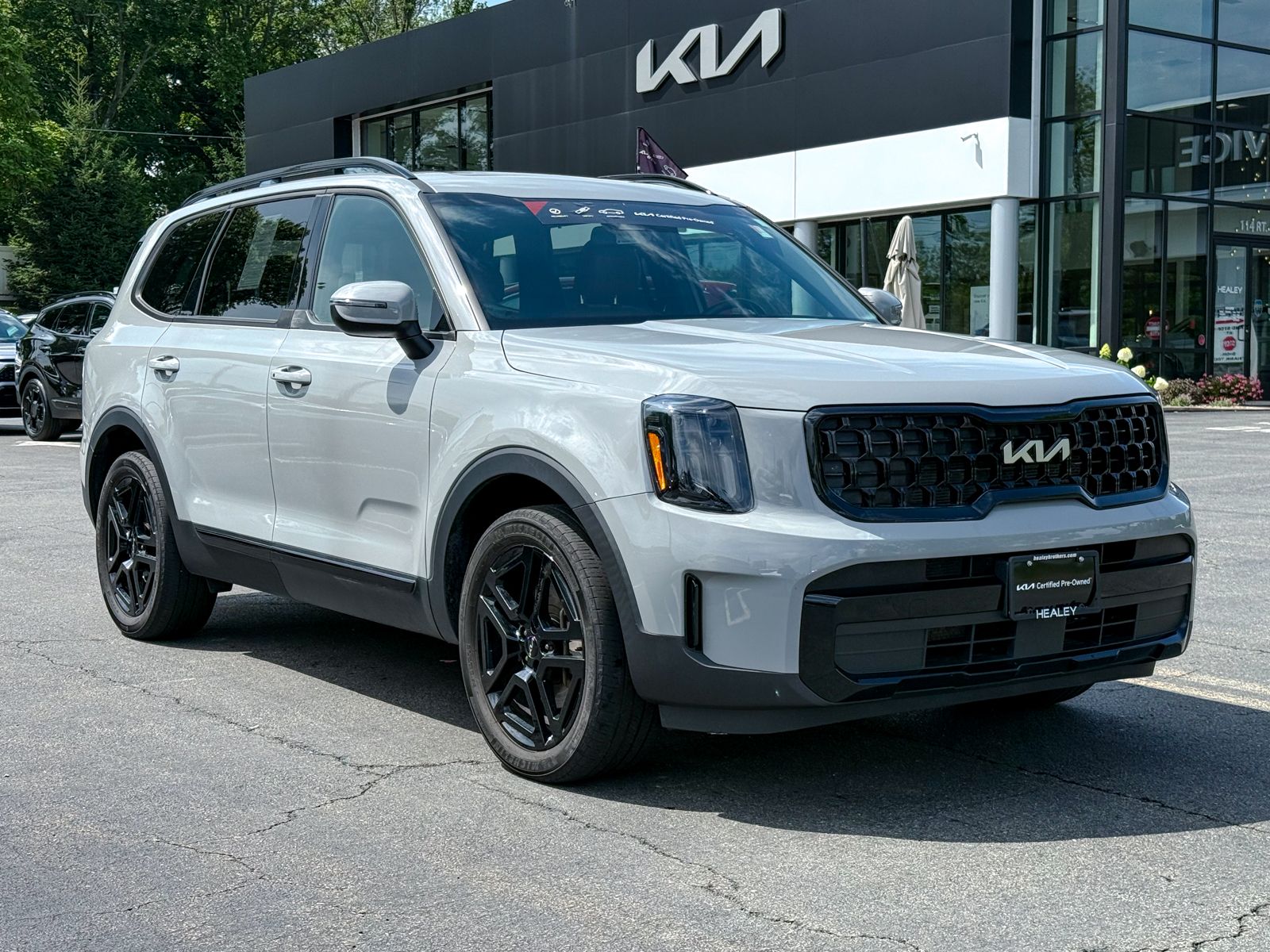 Photo view of 2024 Kia Telluride in Gray