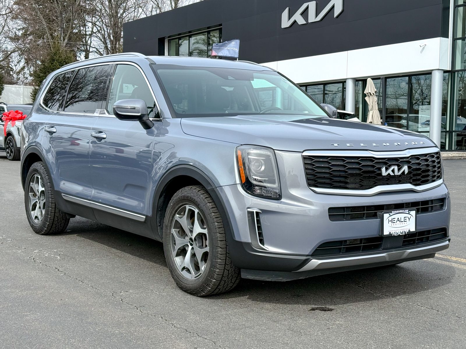 Photo view of 2022 Kia Telluride in Silver