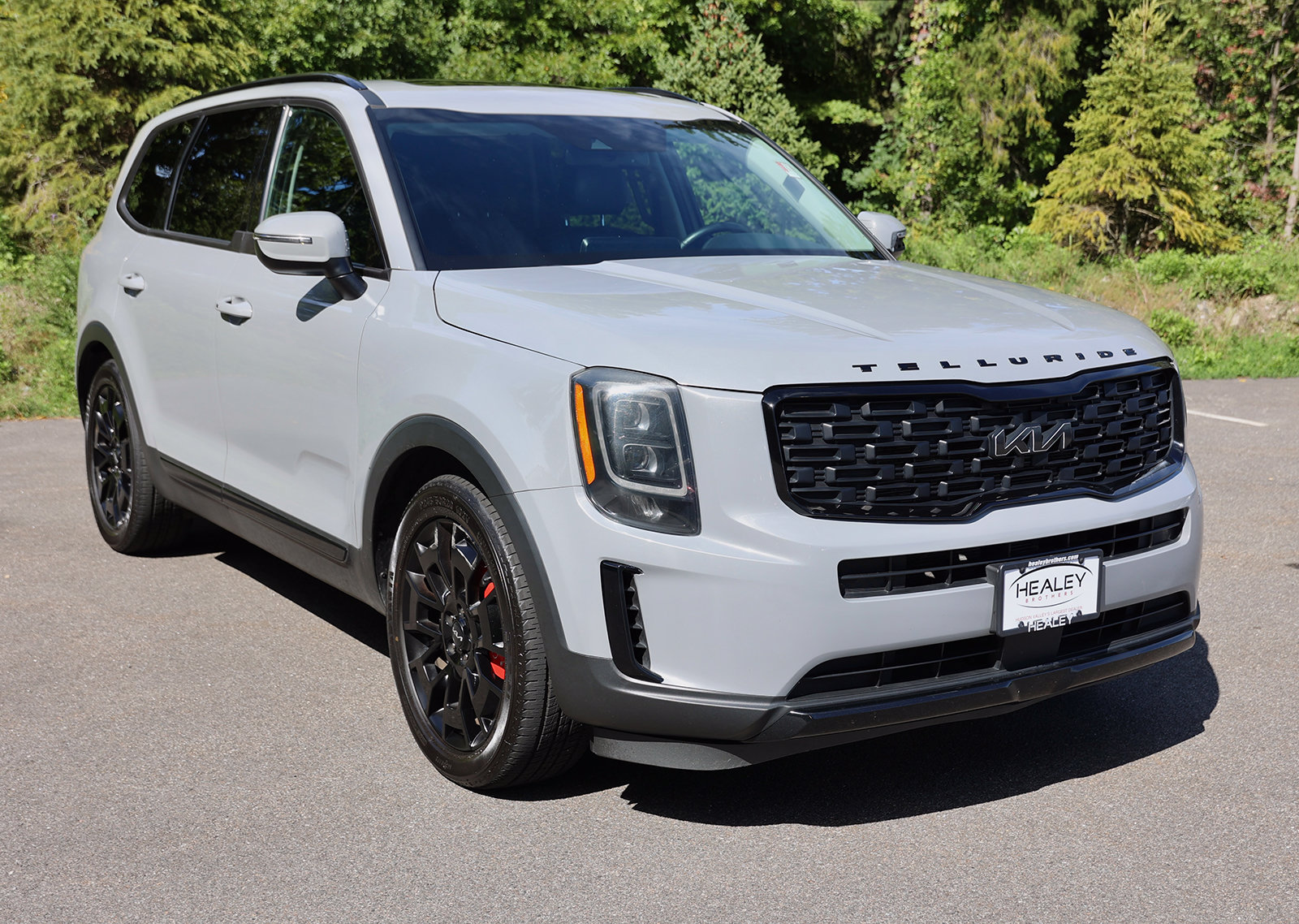 Photo view of 2022 Kia Telluride in Gray
