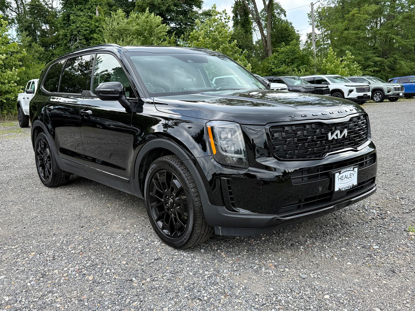 Photo view of 2022 Kia Telluride in Black