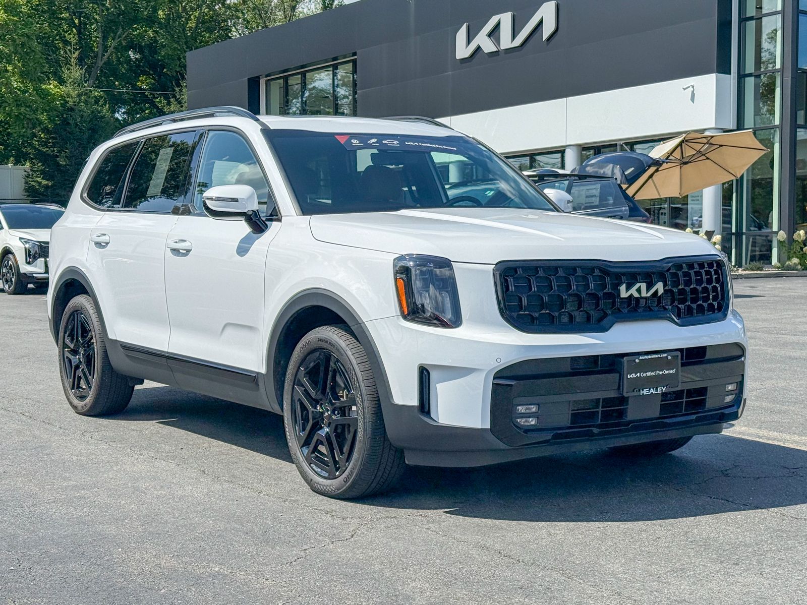 Photo view of 2024 Kia Telluride in White