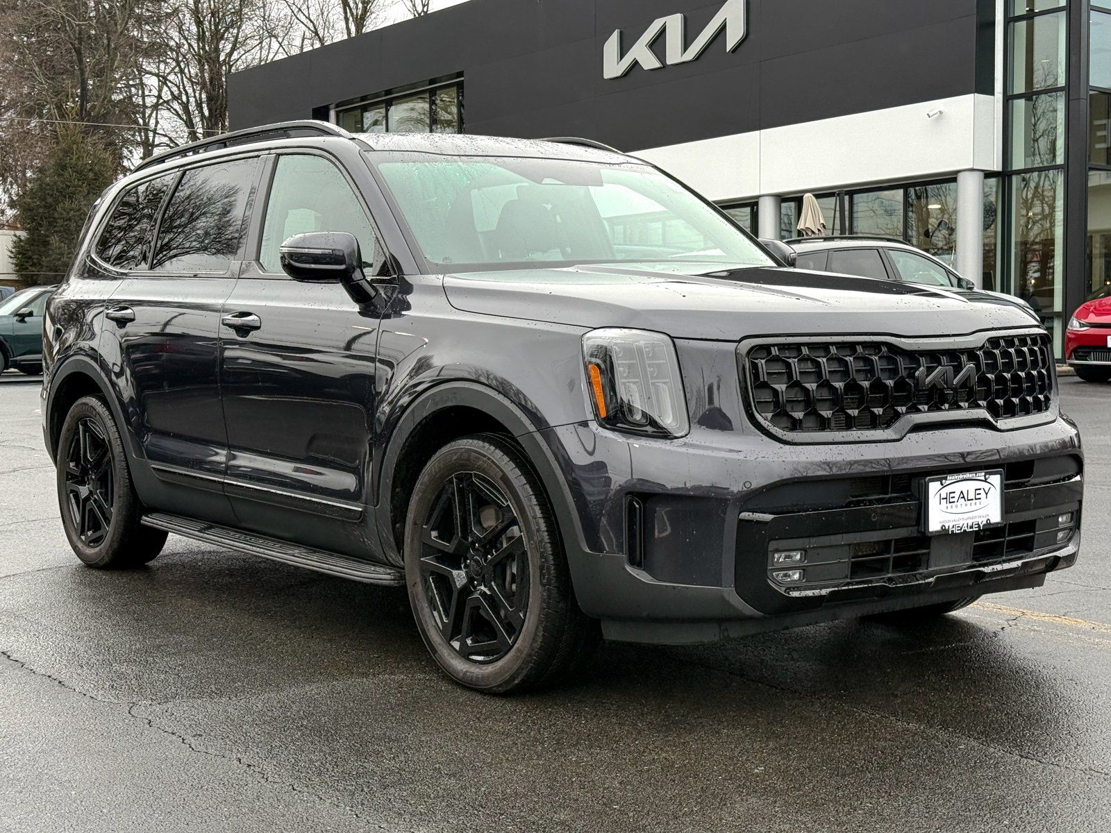 Photo view of 2025 Kia Telluride in Gray