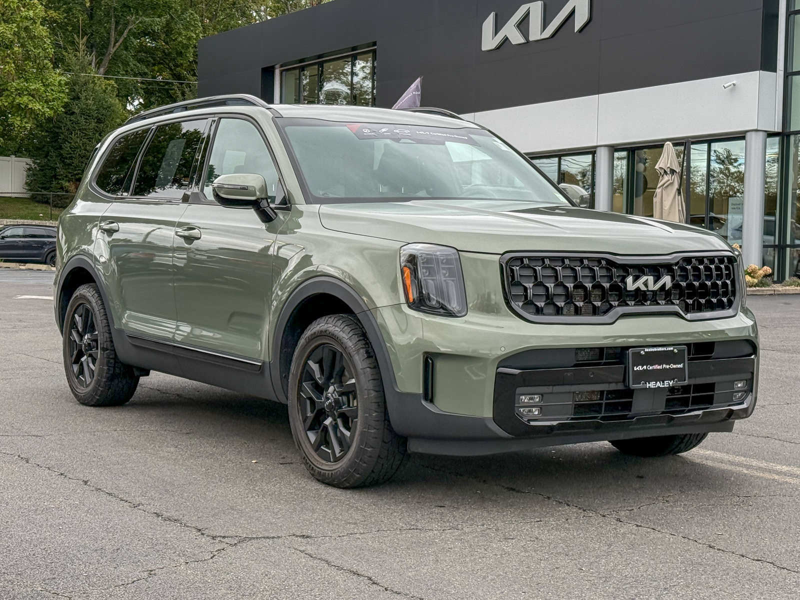 Photo view of 2024 Kia Telluride in Green