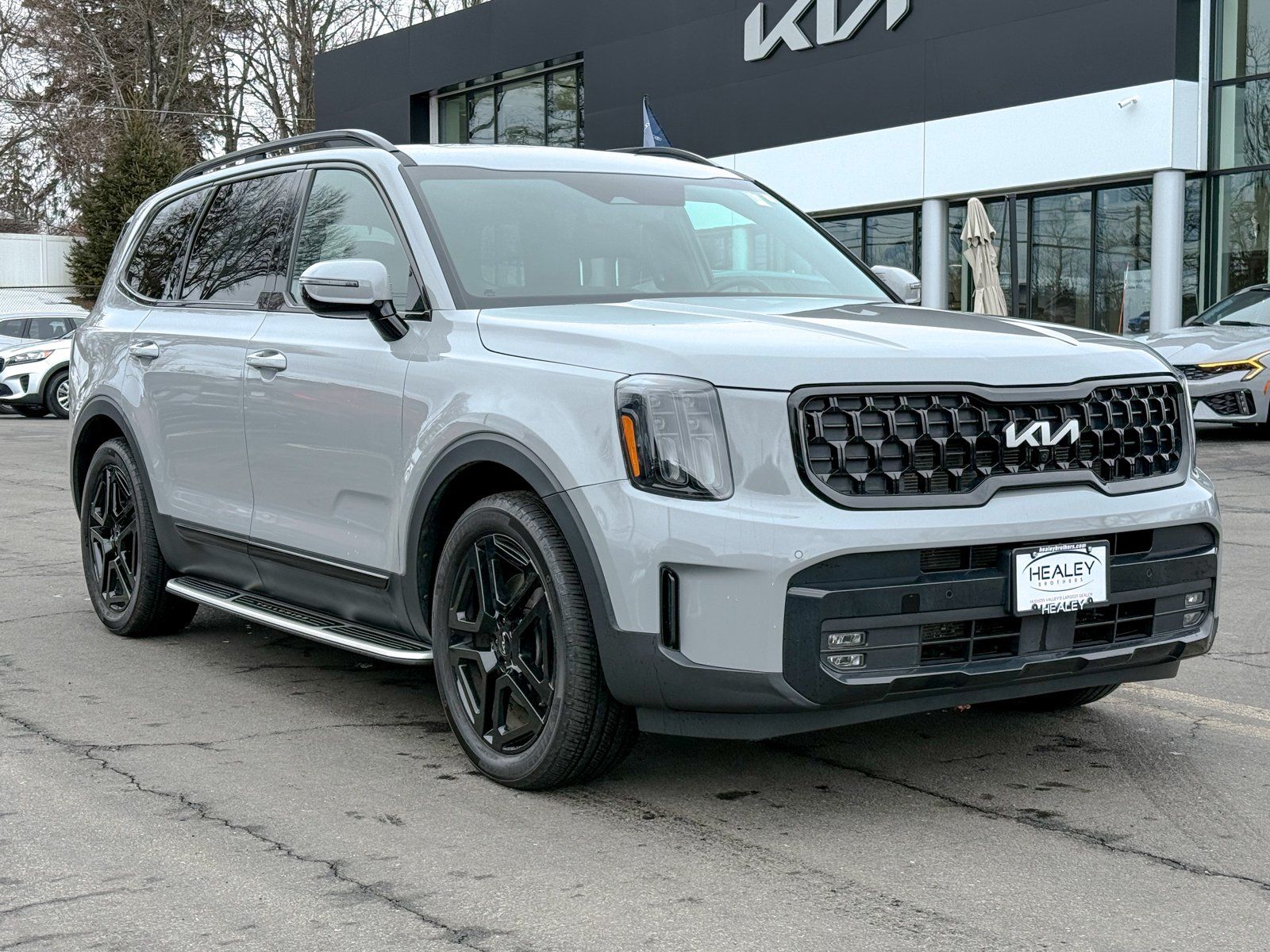 Photo view of 2024 Kia Telluride in Gray