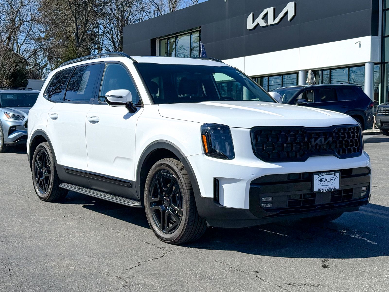 Photo view of 2025 Kia Telluride in White