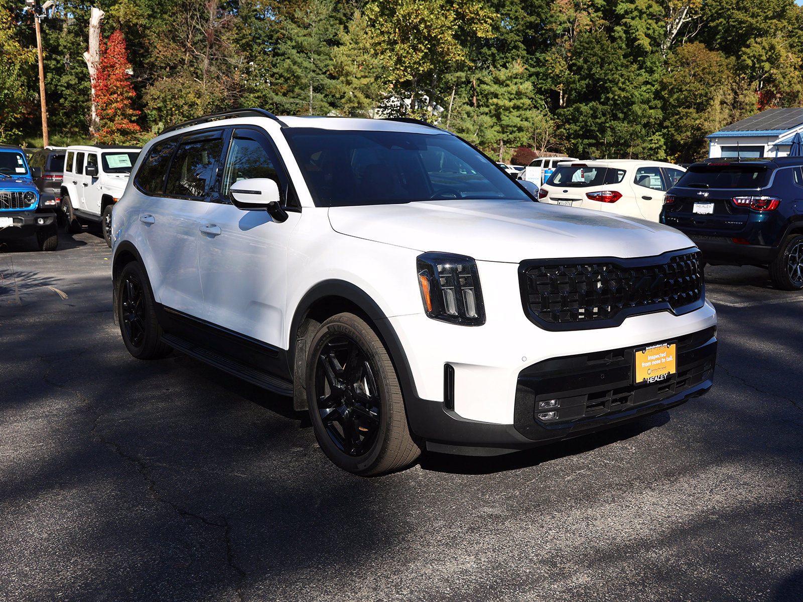 Photo view of 2025 Kia Telluride in White